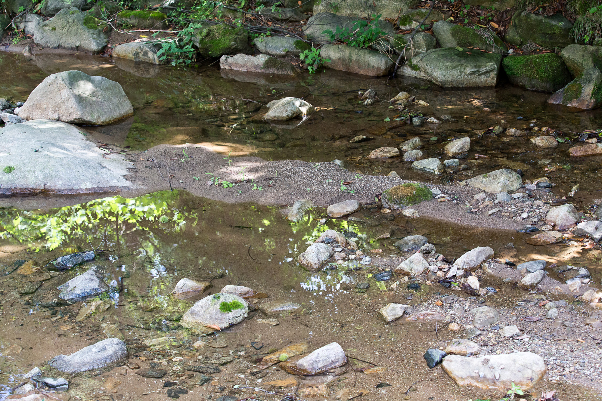 경제;사회;기업;IT기업;한글과컴퓨터;한컴;한컴마루;불법공사;불법삼림훼손