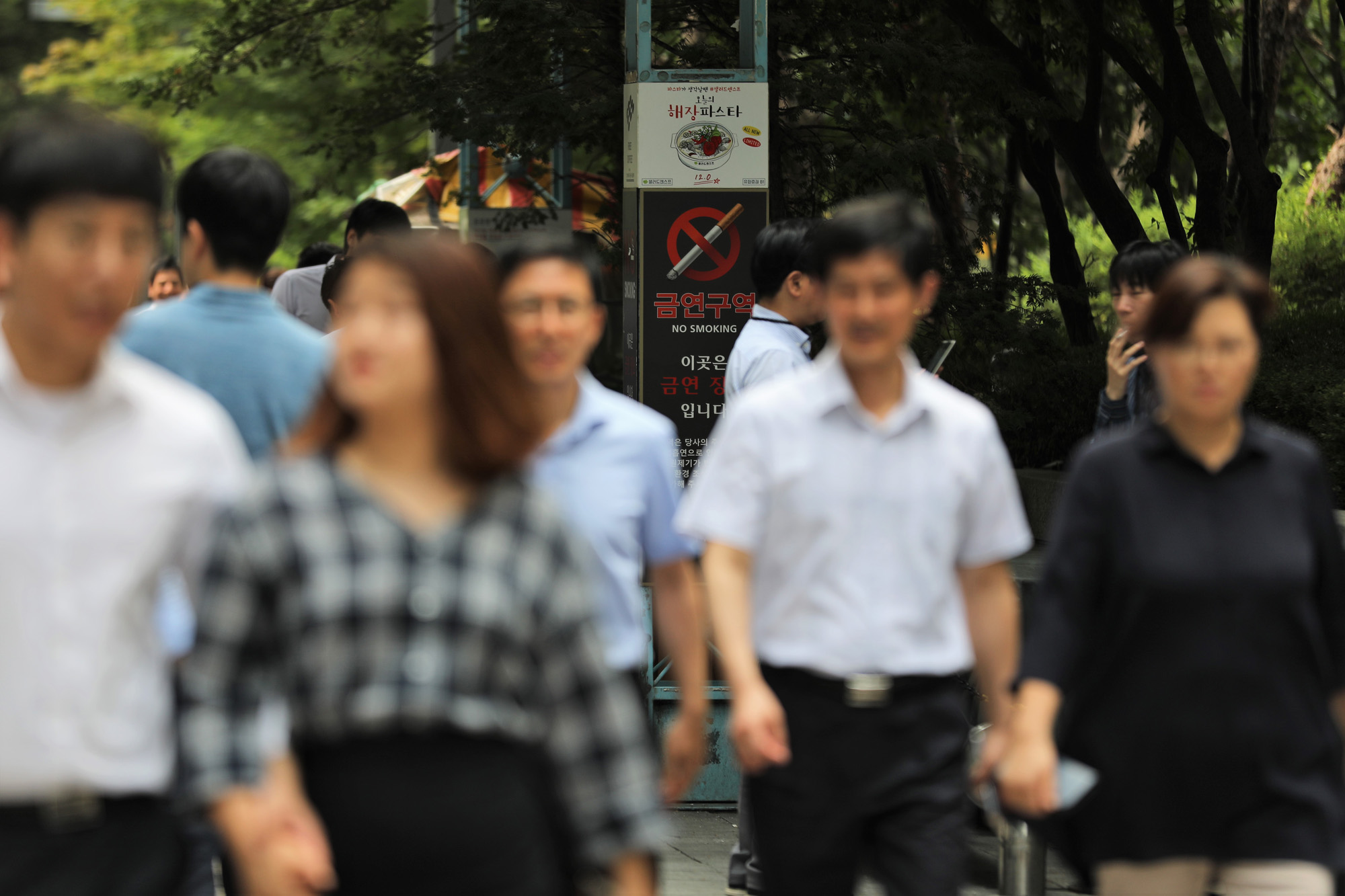 사회;여의도흡연골목;여의도금연구역;너구리골목