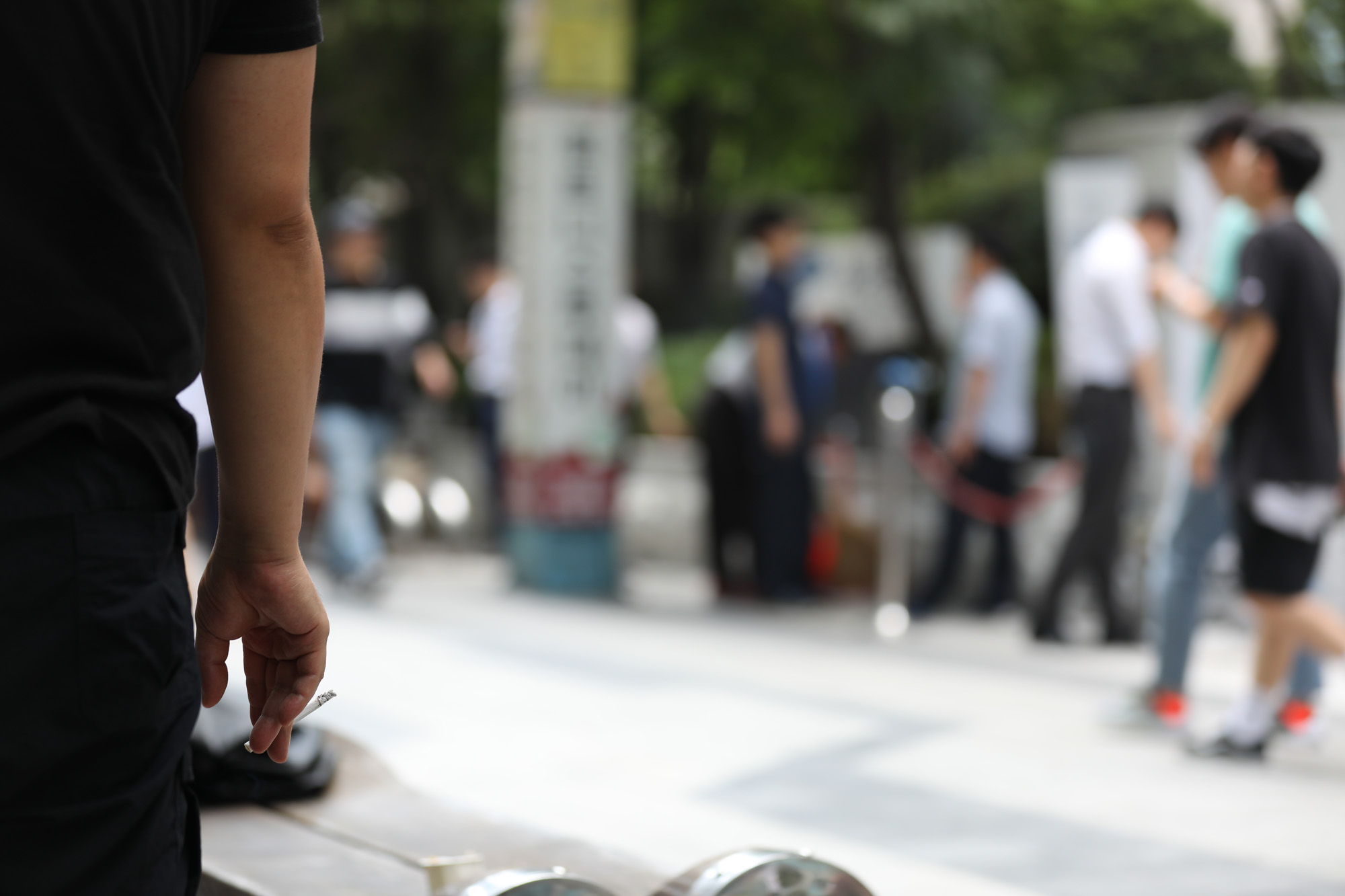 사회;여의도흡연골목;여의도금연구역;너구리골목