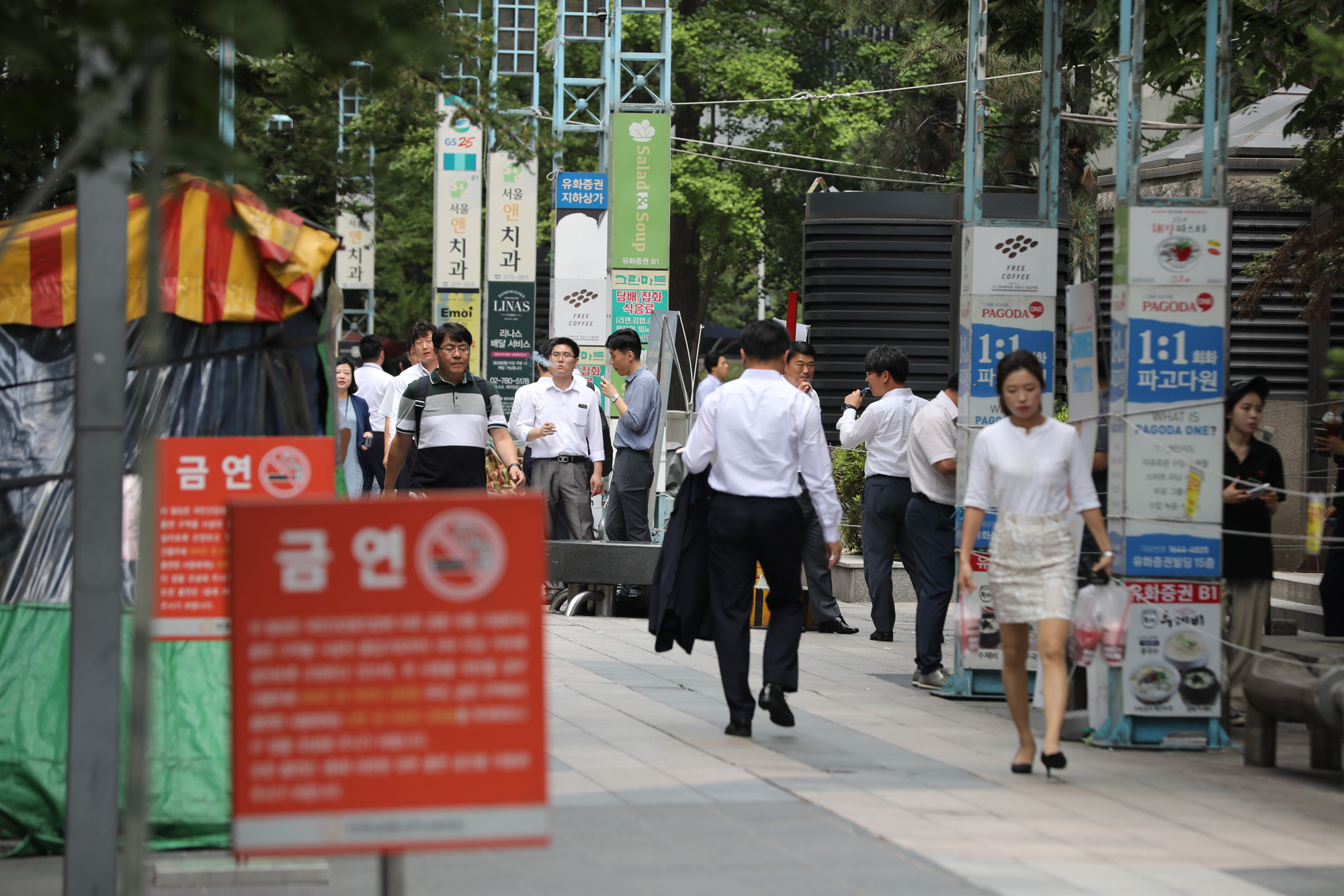 사회;여의도흡연골목;여의도금연구역;너구리골목