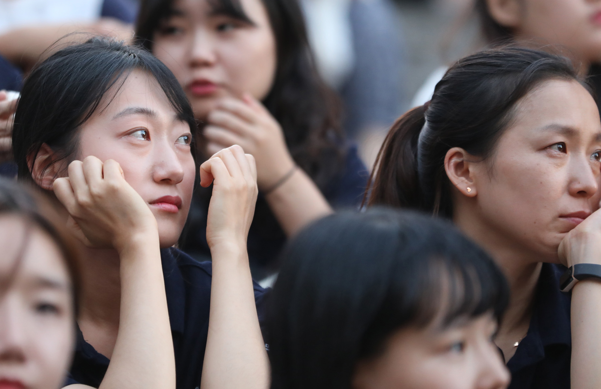 말복;복날;개고기;카라