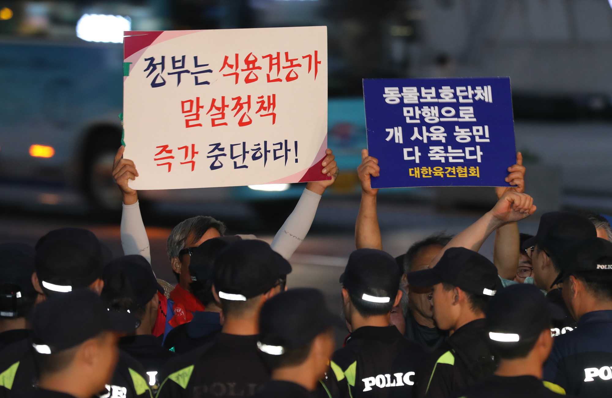 식용견;개고기;초복;중복;말복;카라