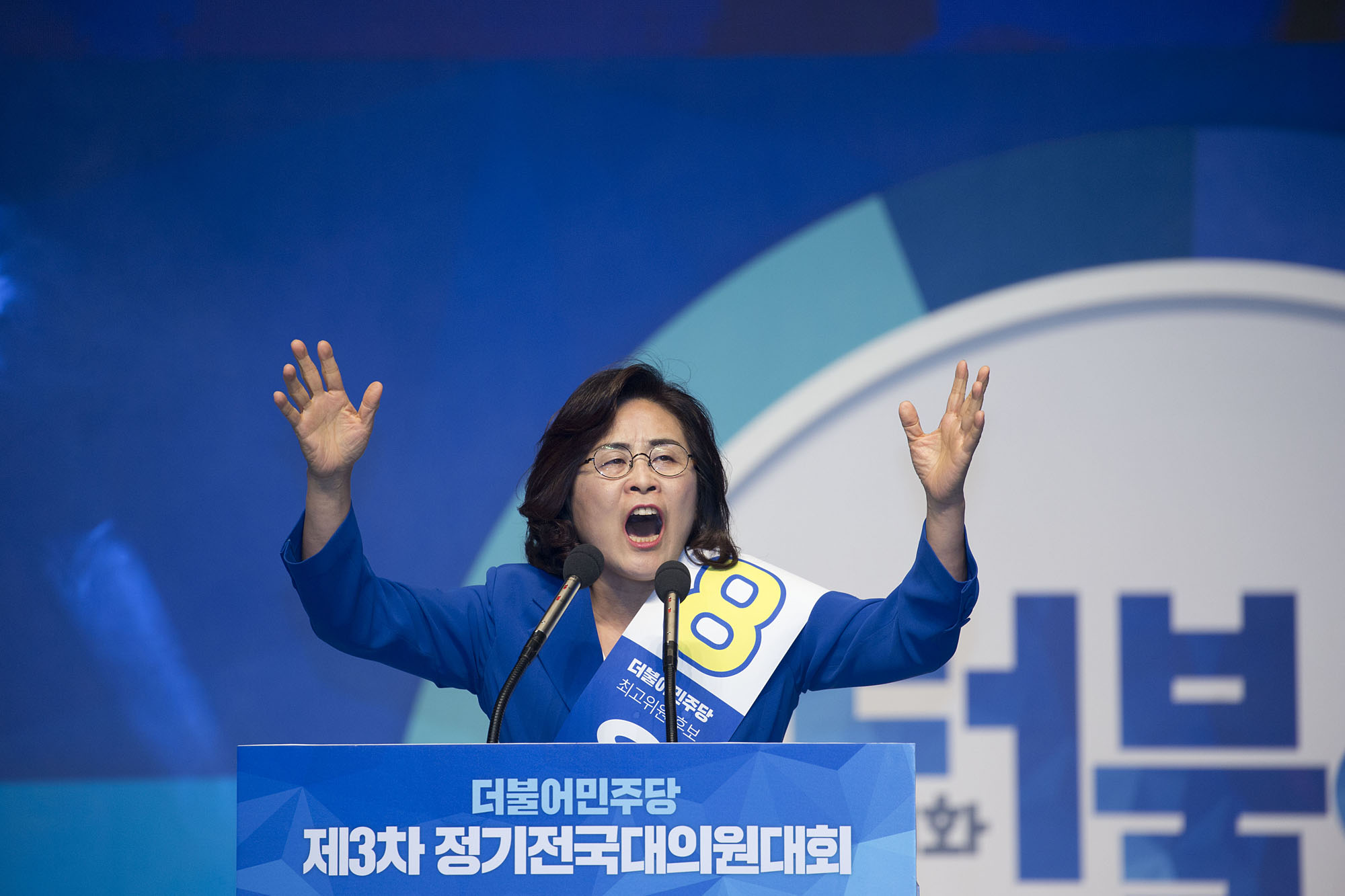 정치;정당;더불어민주당;전당대회;정기전국대의원대회;당대표;선출