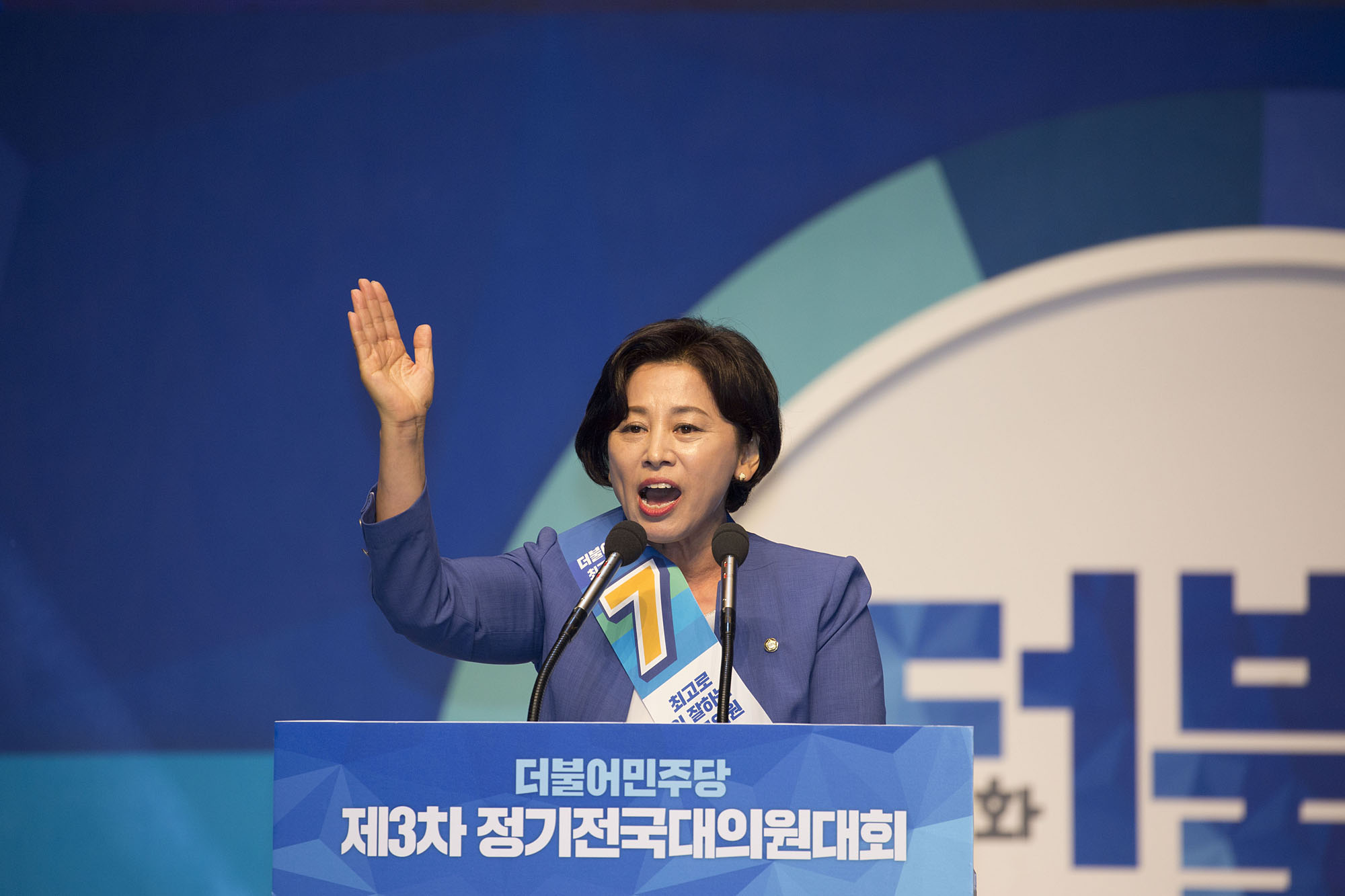 정치;정당;더불어민주당;전당대회;정기전국대의원대회;당대표;선출