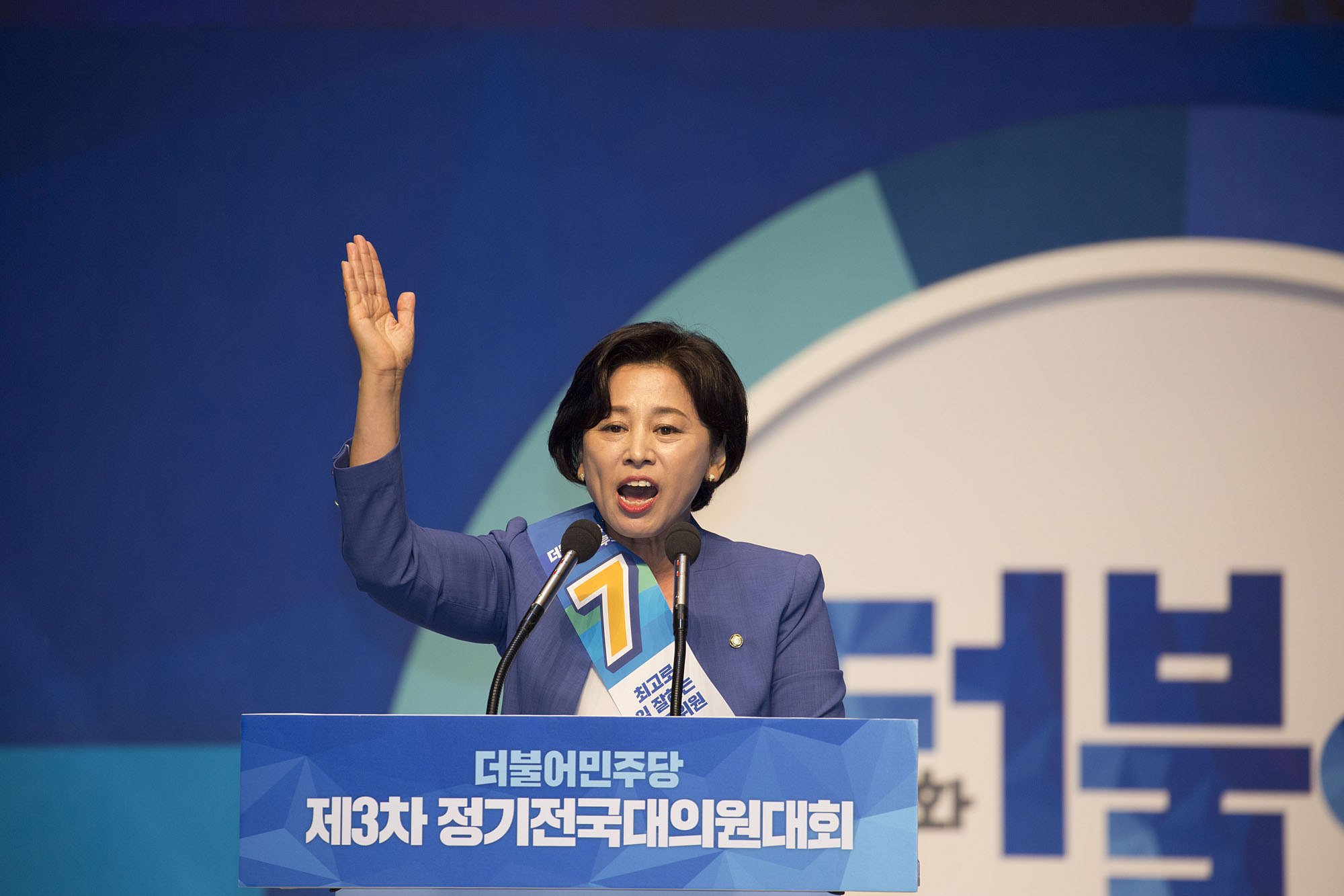 정치;정당;더불어민주당;전당대회;정기전국대의원대회;당대표;선출