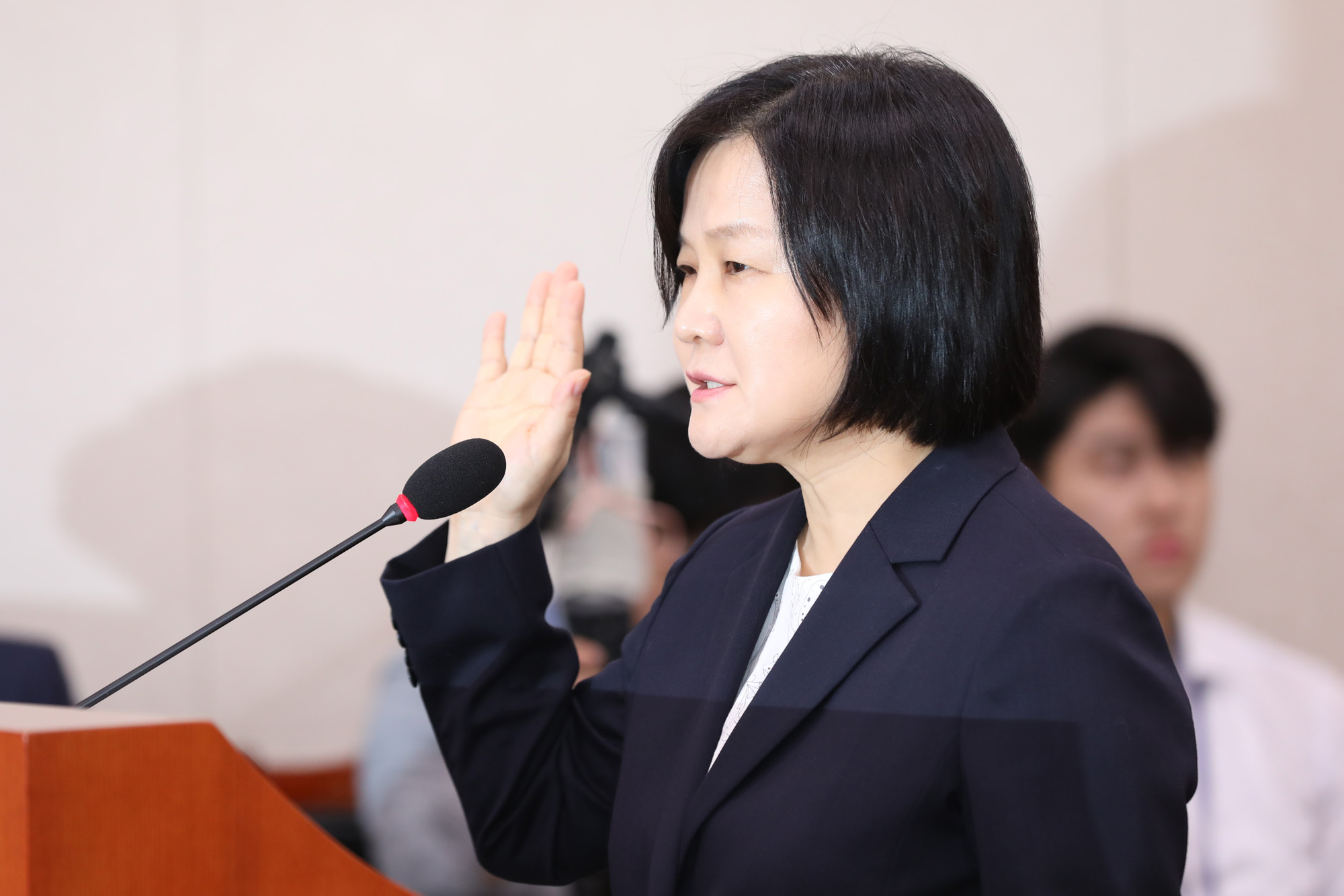 정치국회;헌법재판소;인사청문회;이은애