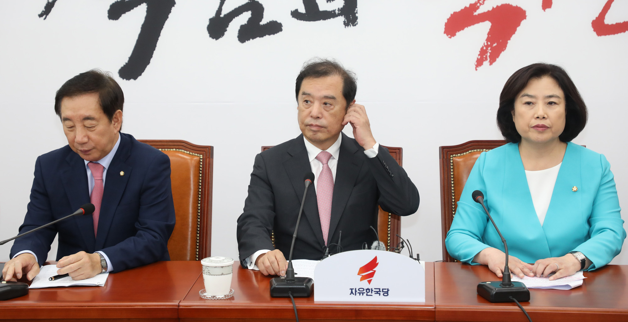 정치국회;자유한국당;김병준비대위원장;부동산대책