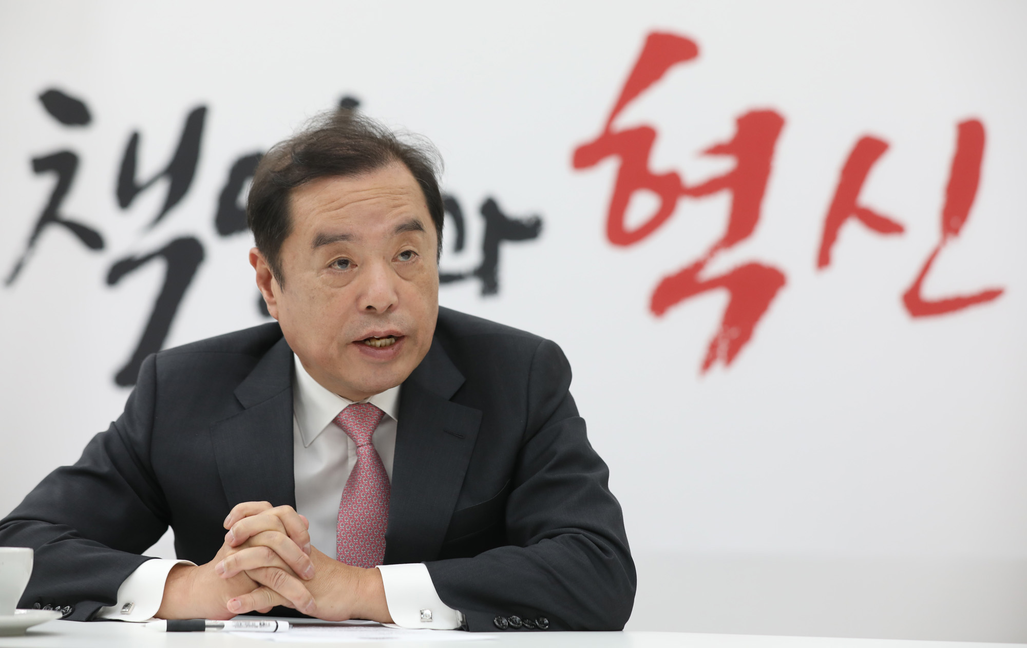 정치국회;김병준;자유한국당비상대책위원장