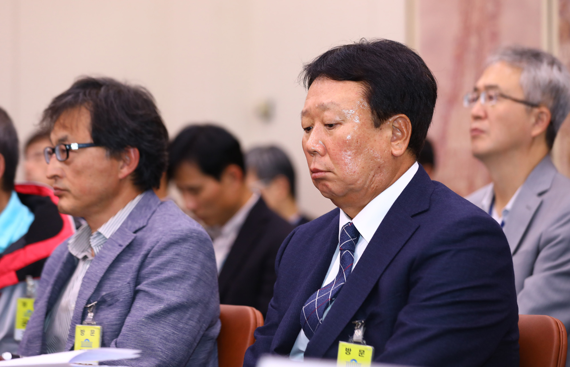 국정감사;선동열감독