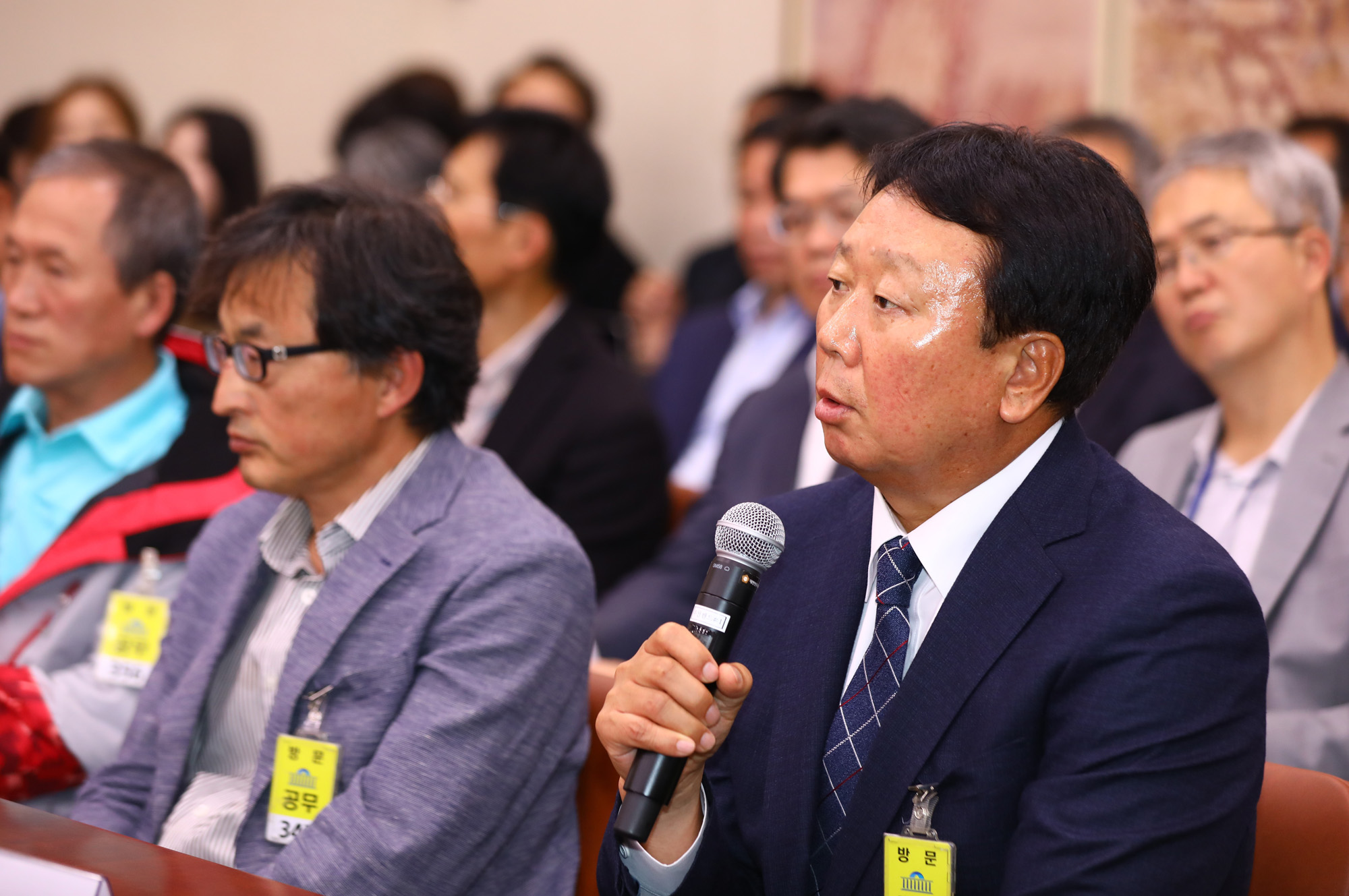 국정감사;선동열감독