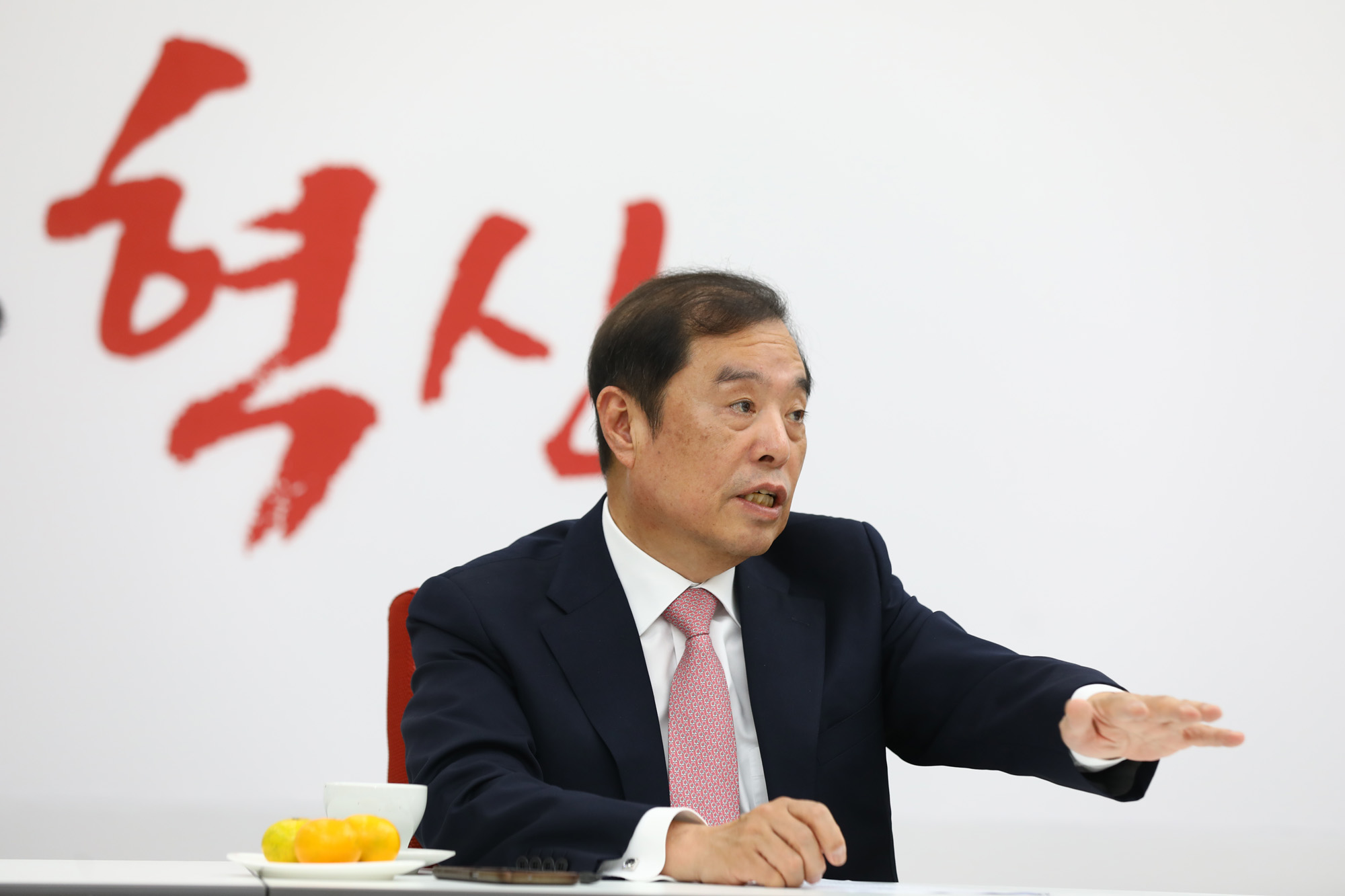 정치국회;김병준;자유한국당비상대책위원장