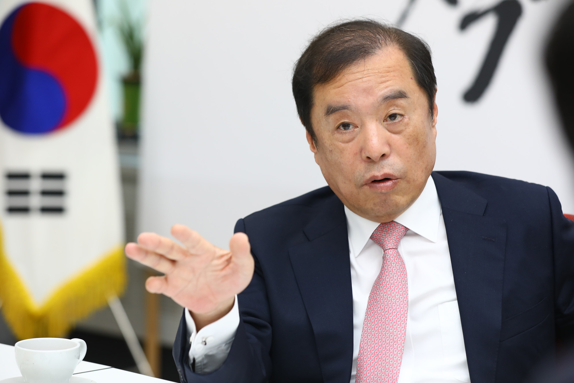 정치국회;김병준;자유한국당비상대책위원장