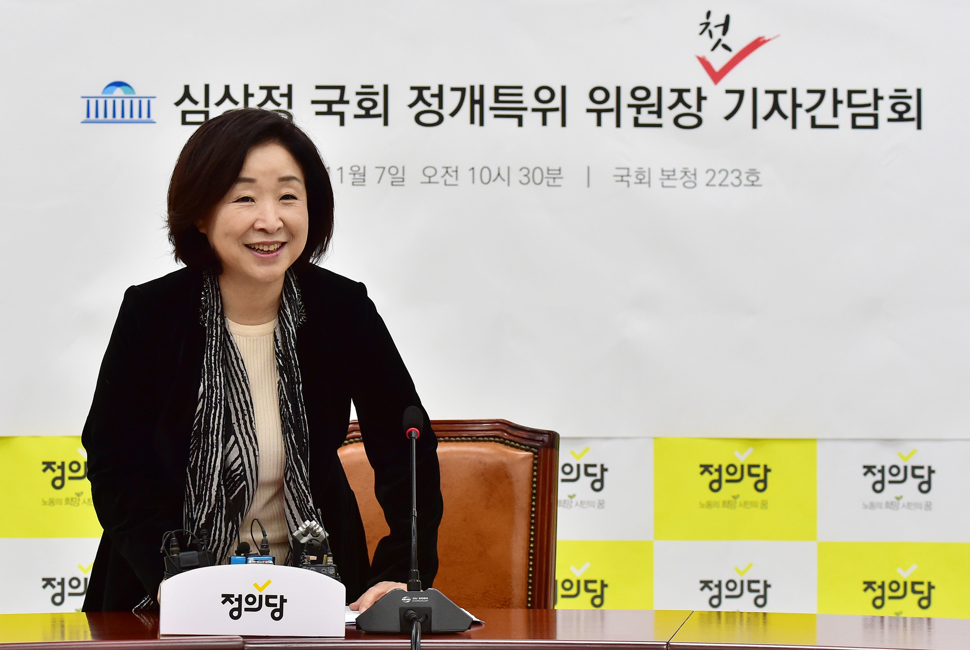 심상정;정치개혁특별위원회