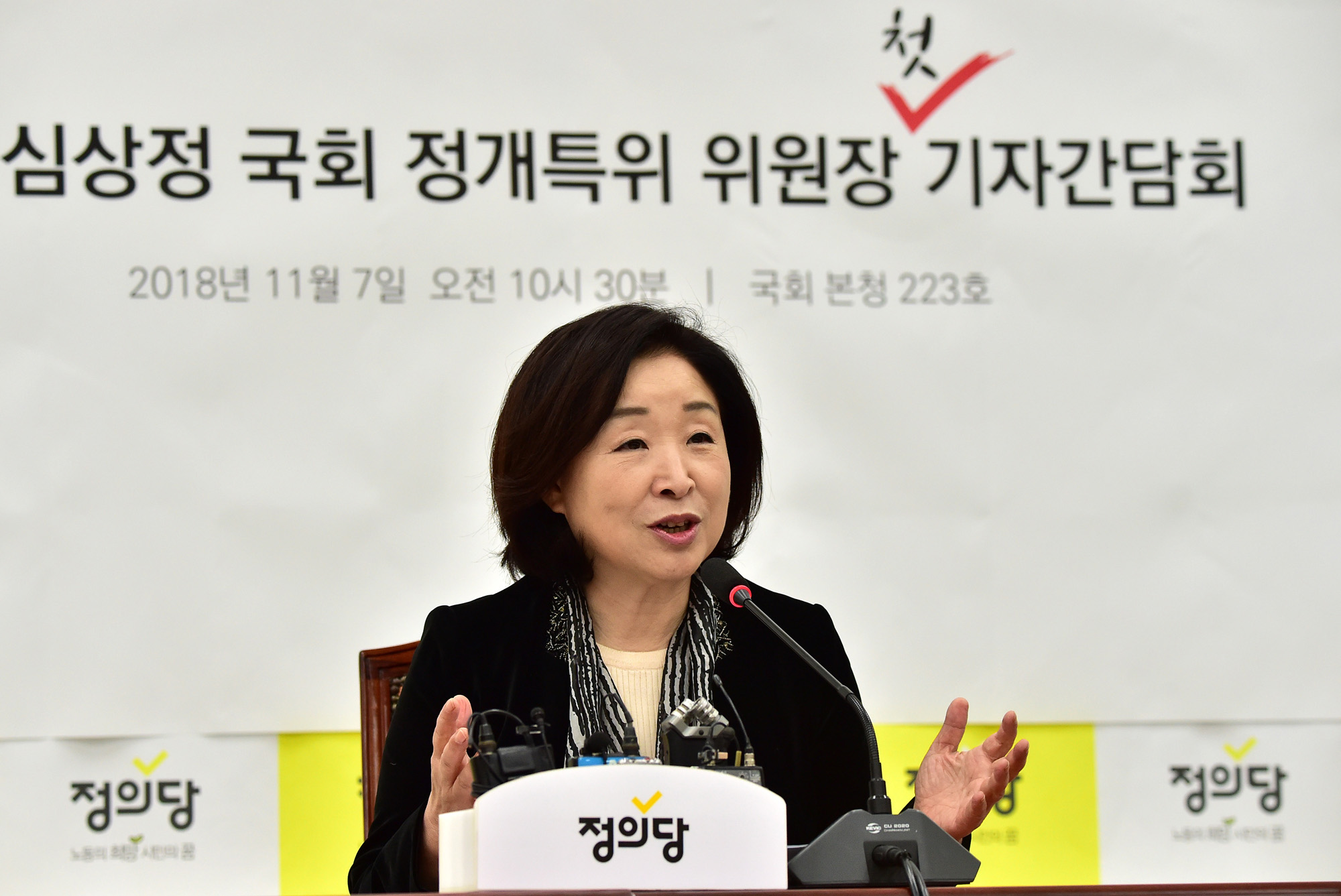 심상정;정치개혁특별위원회