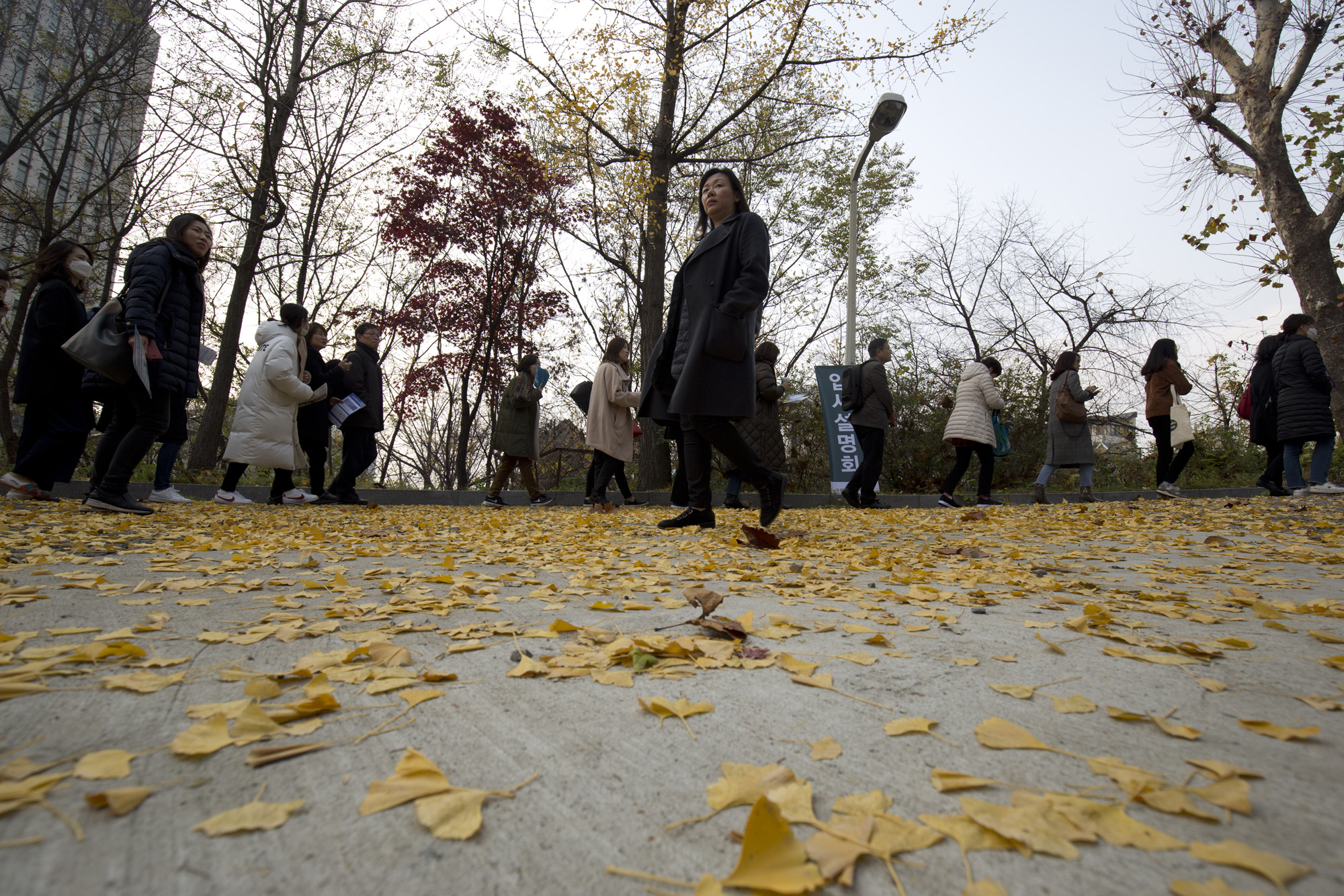 사회;입시;대학수학능력시험;수능;대입;설명회;입시설명회