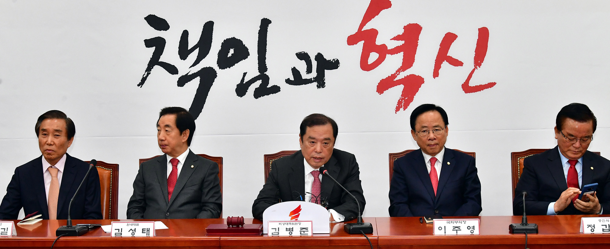 정치국회;자유한국당;비상대책위원회