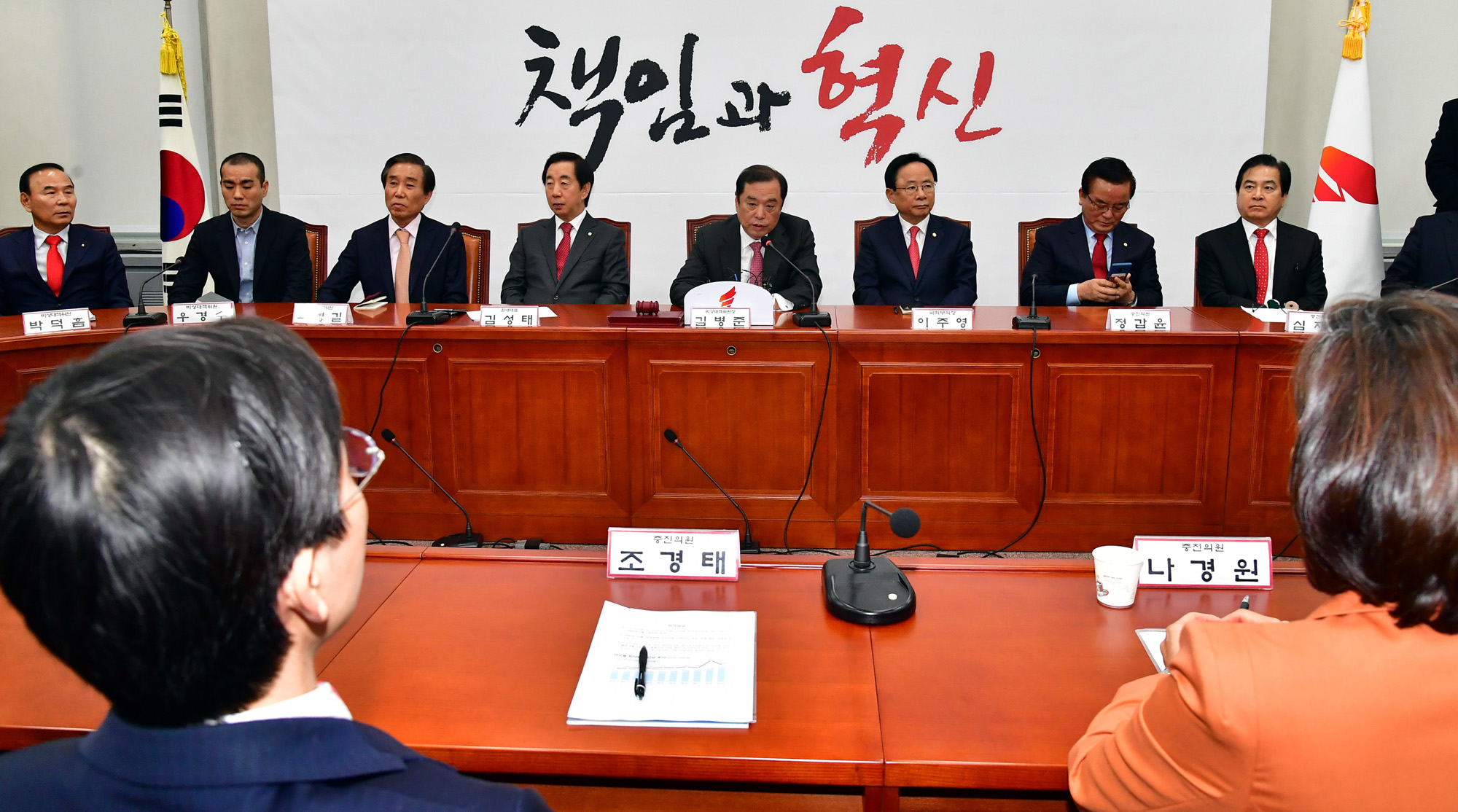 정치국회;자유한국당;비상대책위원회