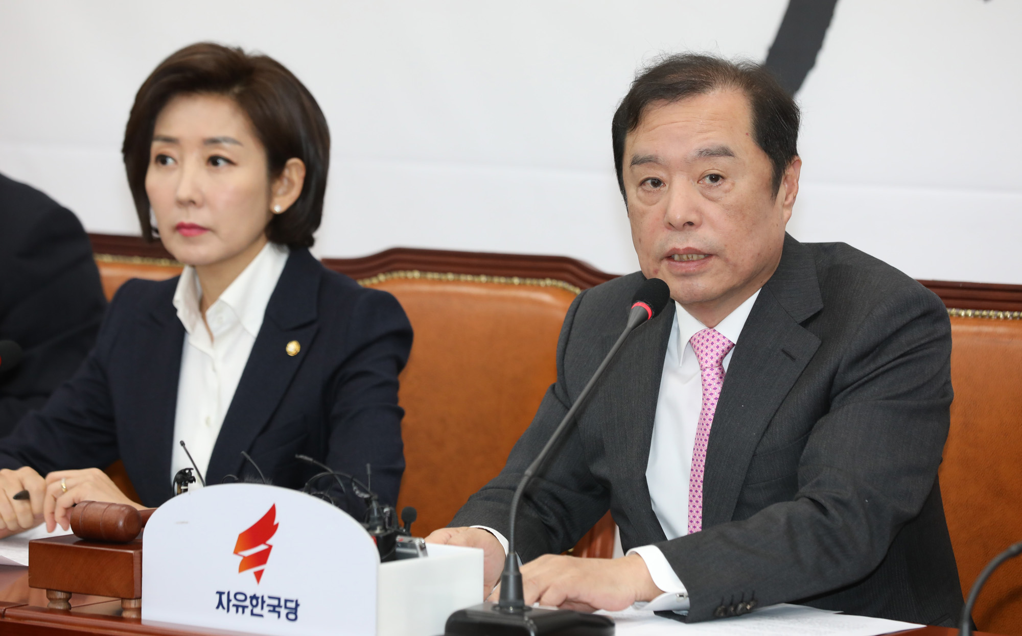 자유한국당비상대책위원회의