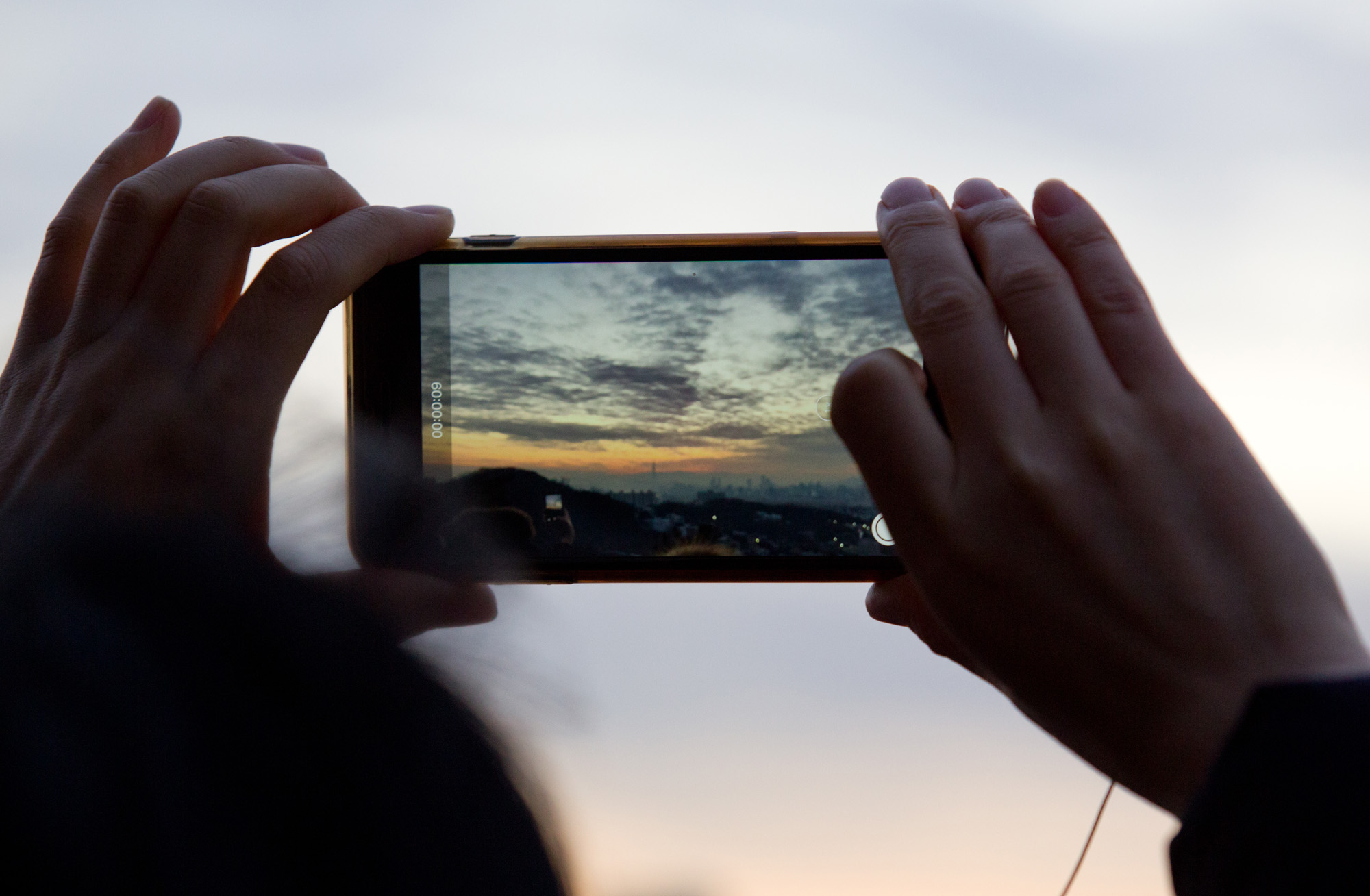 일출;기해년;황금돼지;남산일출