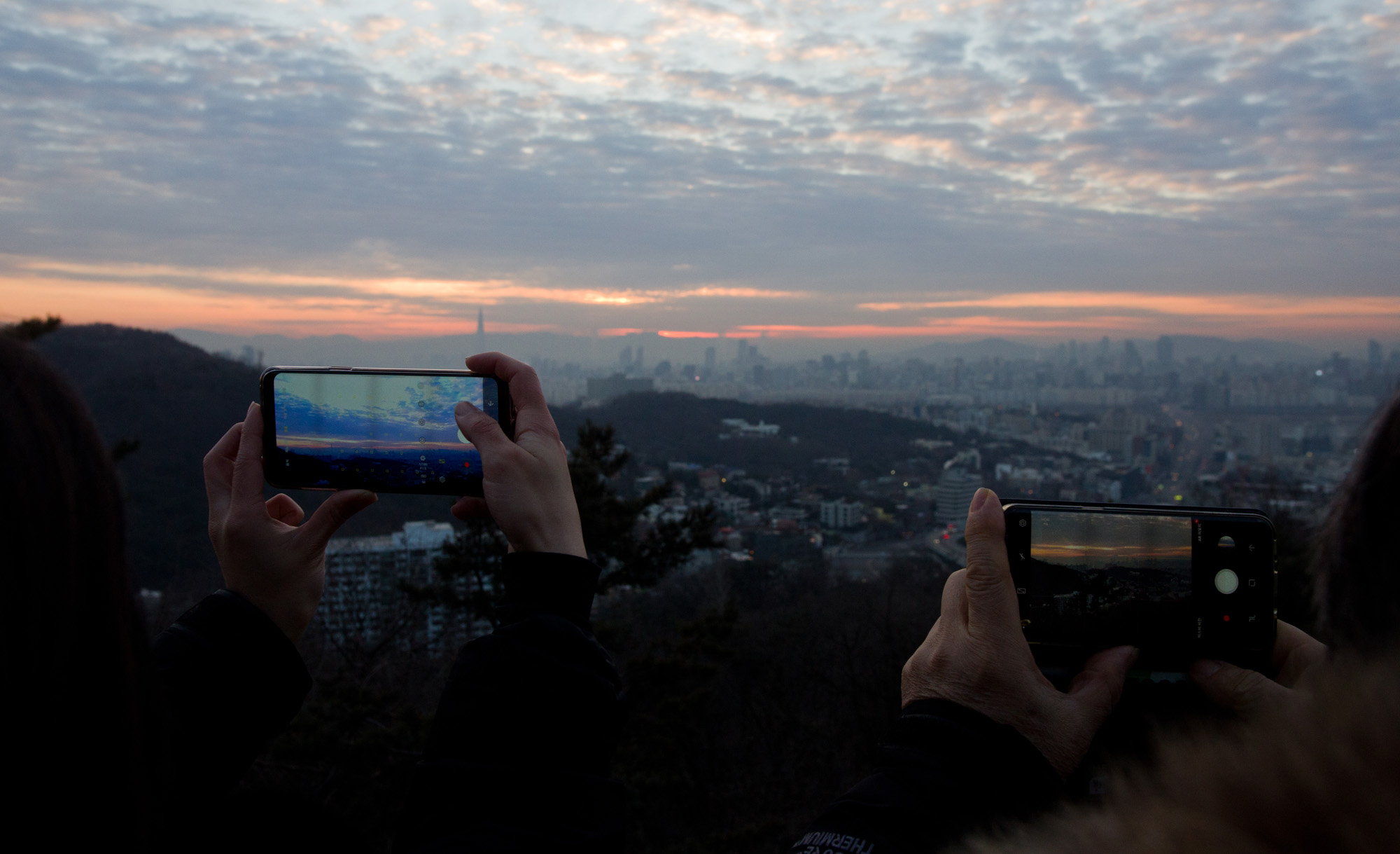 일출;기해년;황금돼지;남산일출