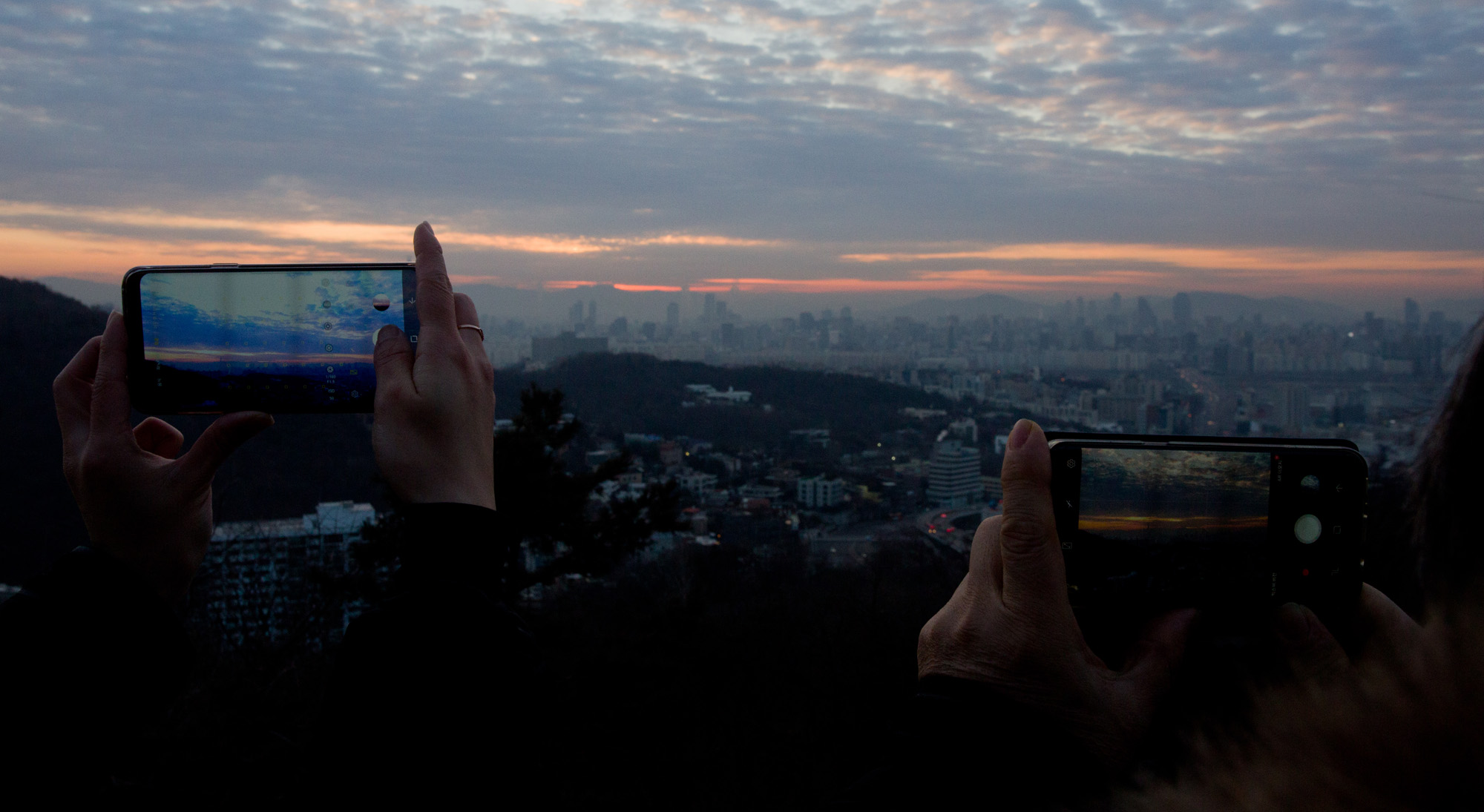 일출;기해년;황금돼지;남산일출