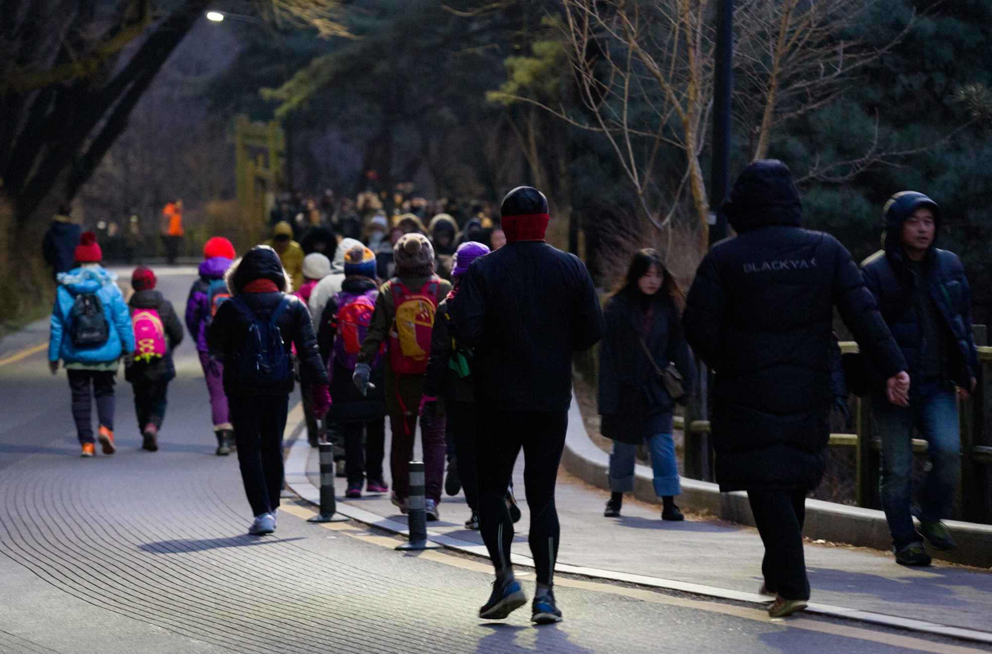 일출;기해년;황금돼지;남산일출