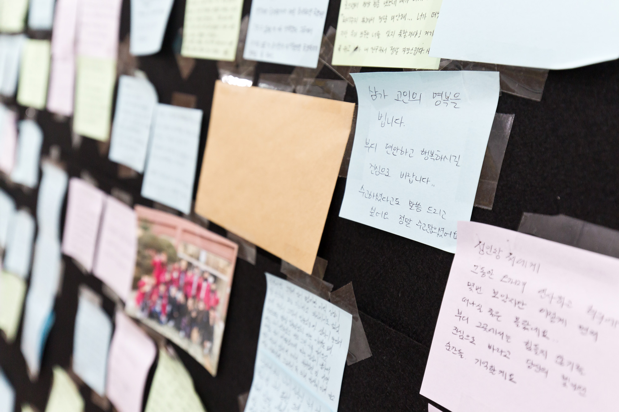 사회;사건사고;자살사고;투신;서강대학교;총학생회장;성인창