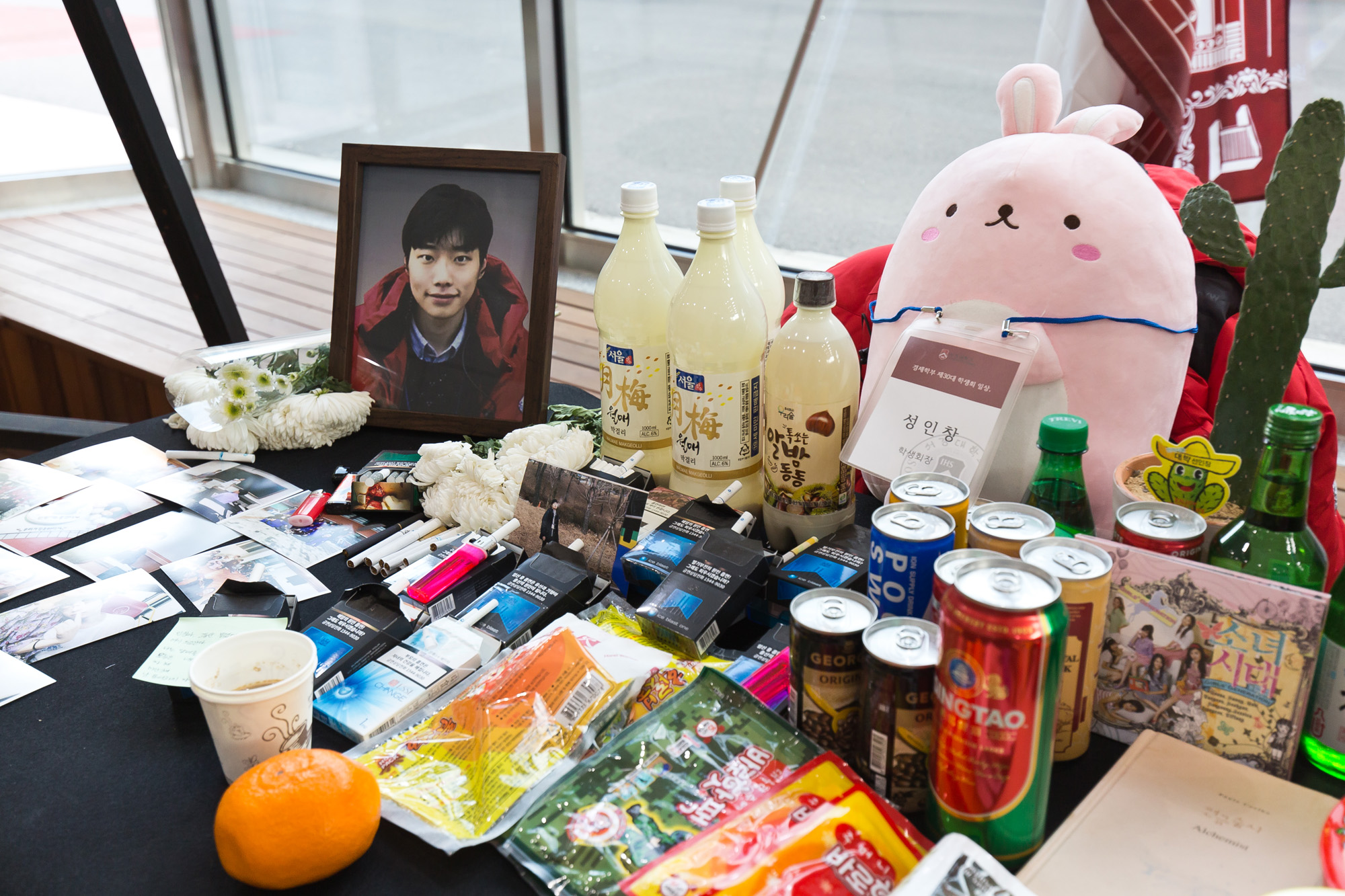 사회;사건사고;자살사고;투신;서강대학교;총학생회장;성인창