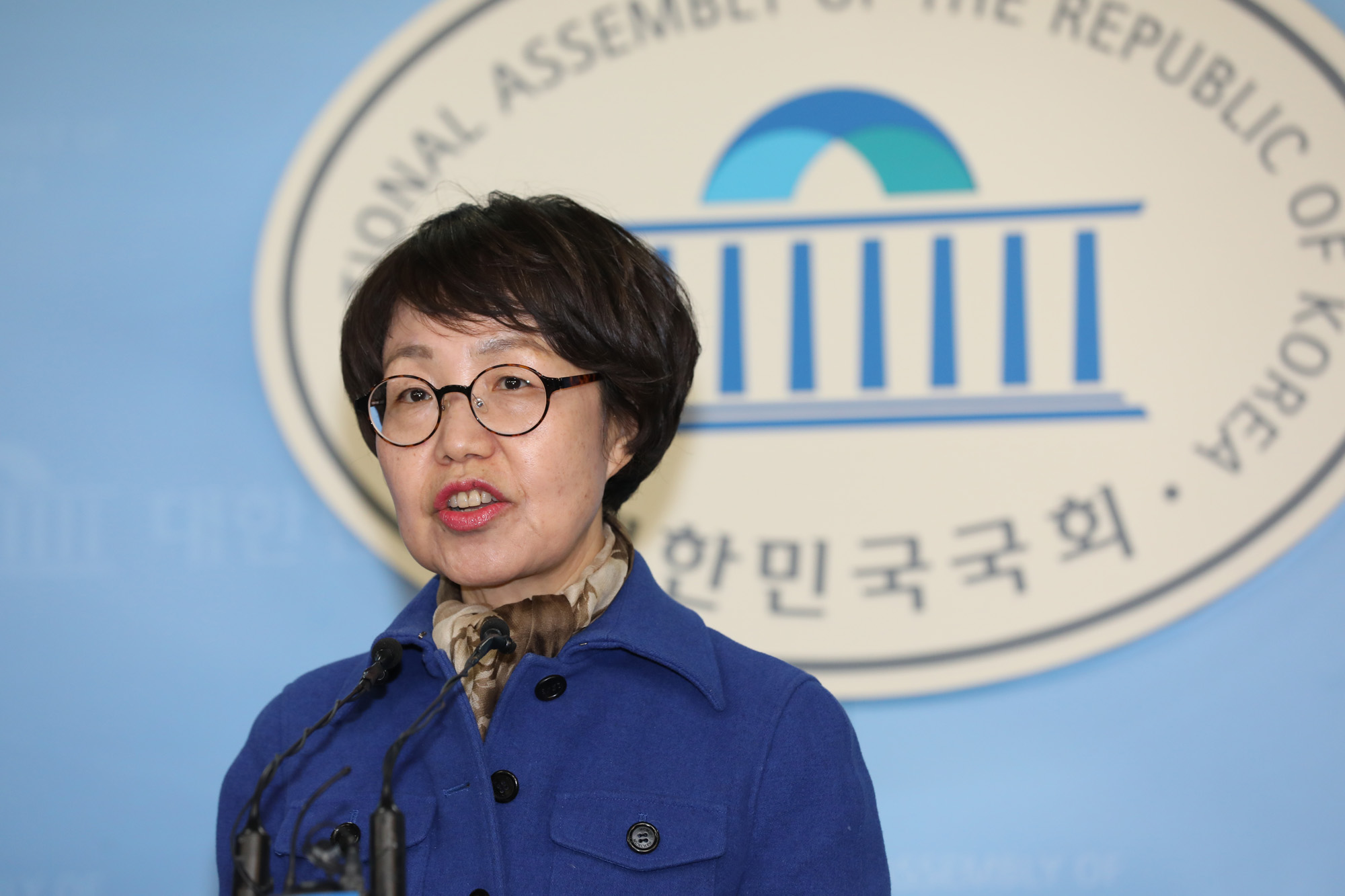 더불어민주당권미혁원내대변인