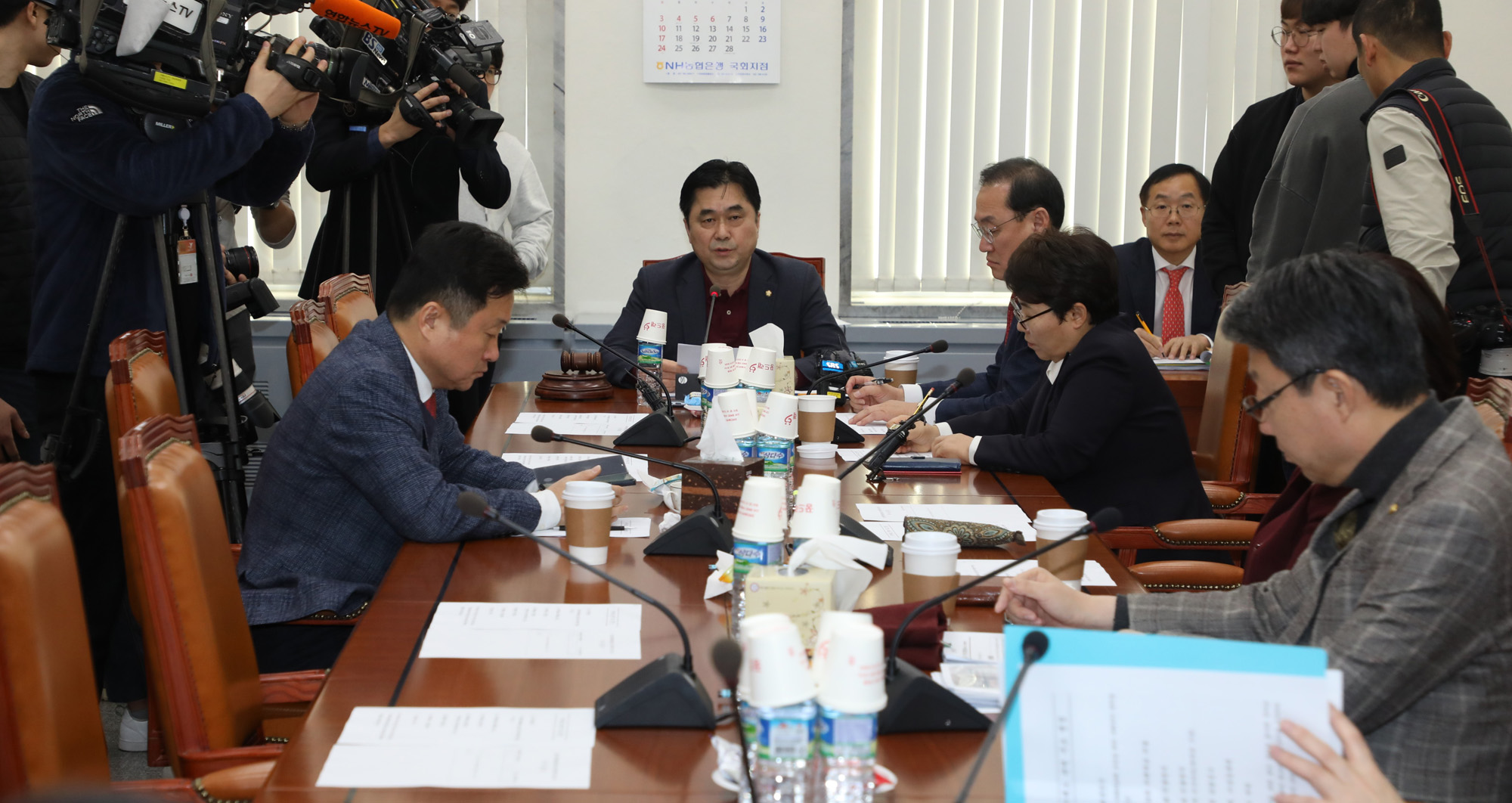 정치개혁특별위원회제1소위원회;선거제도개혁