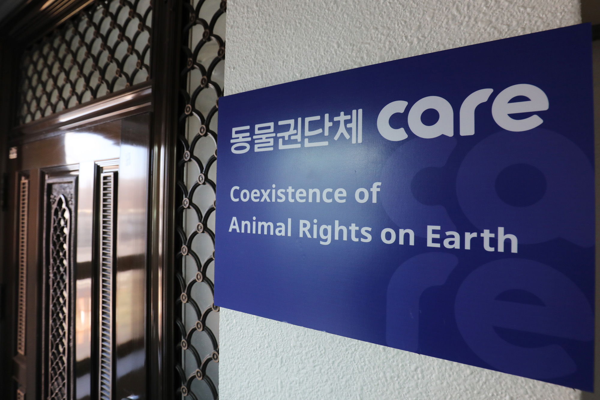 박소연;동물보호단체;안락사;케어;박소연케어;동물복지