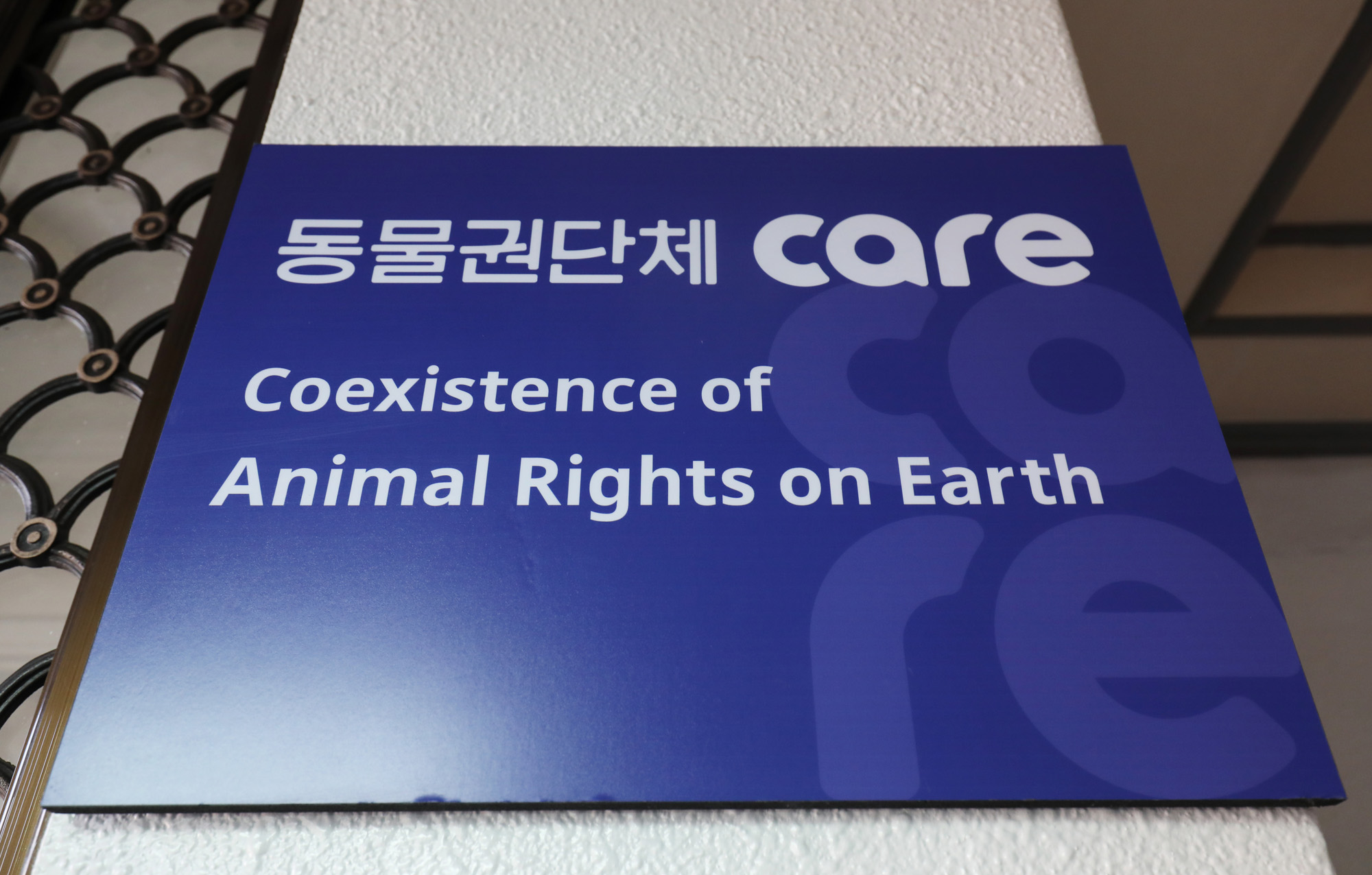 박소연;동물보호단체;안락사;케어;박소연케어;동물복지