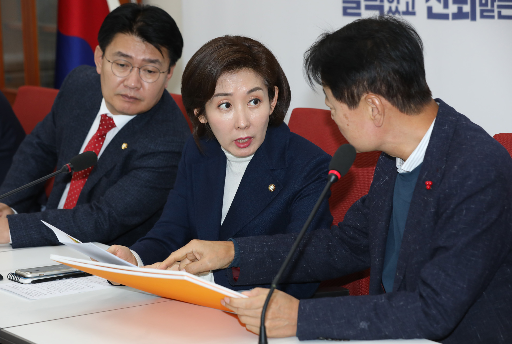 손혜원랜드게이트진상규명 TF;한국당손혜원게이트;한선교위원장