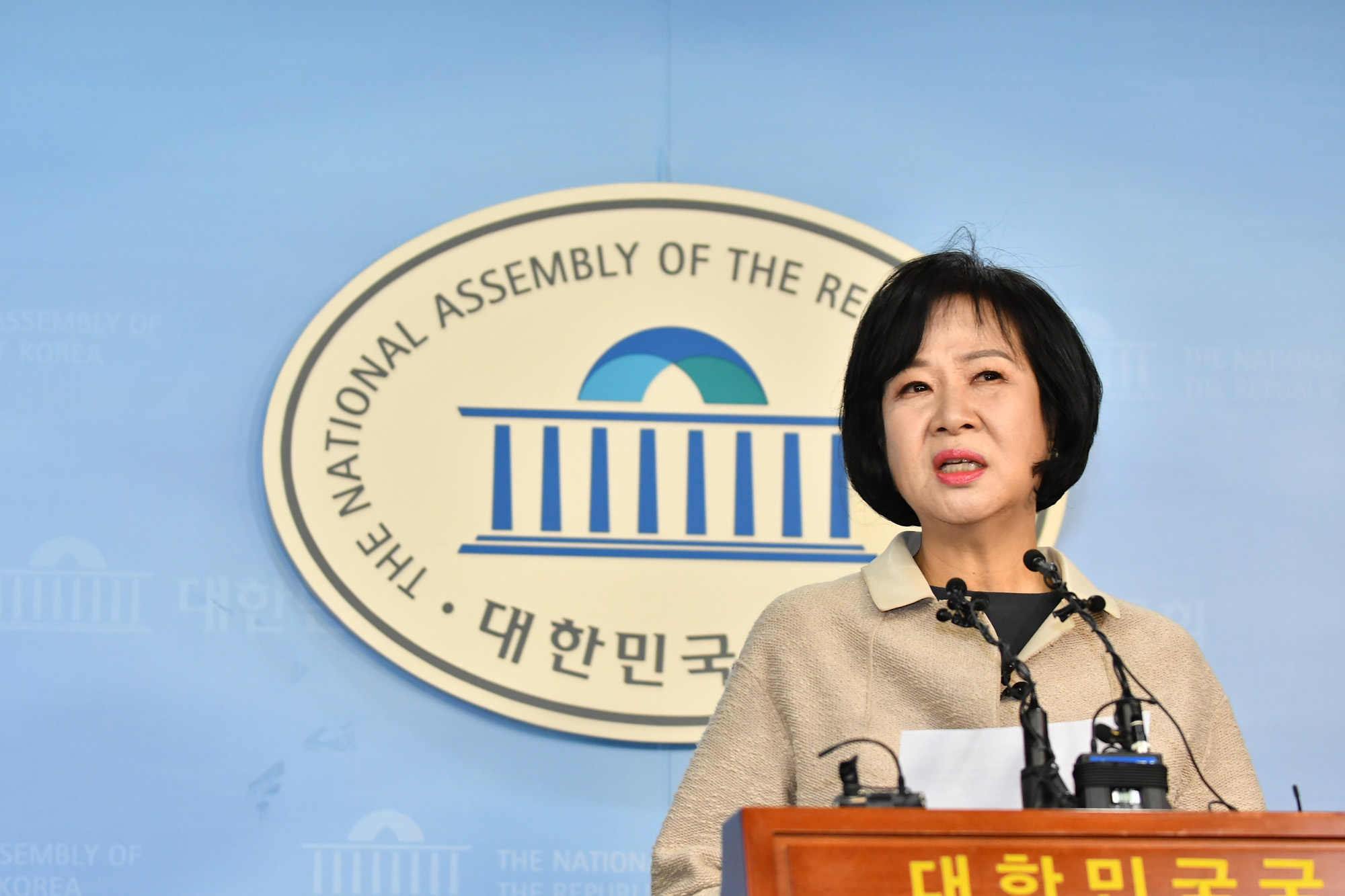 손혜원의원;목포부동산투기;손혜원기자회견