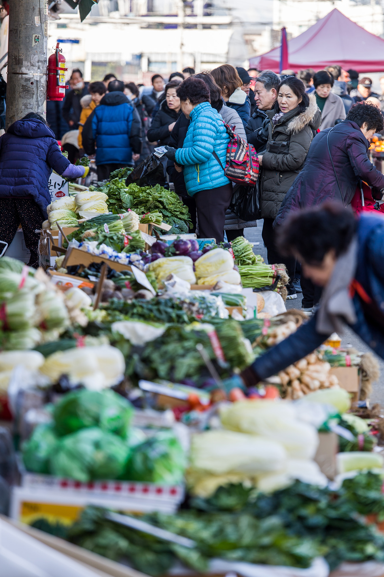 사회;세태;명절;설연휴;설날;전통시장;재래시장;장보기