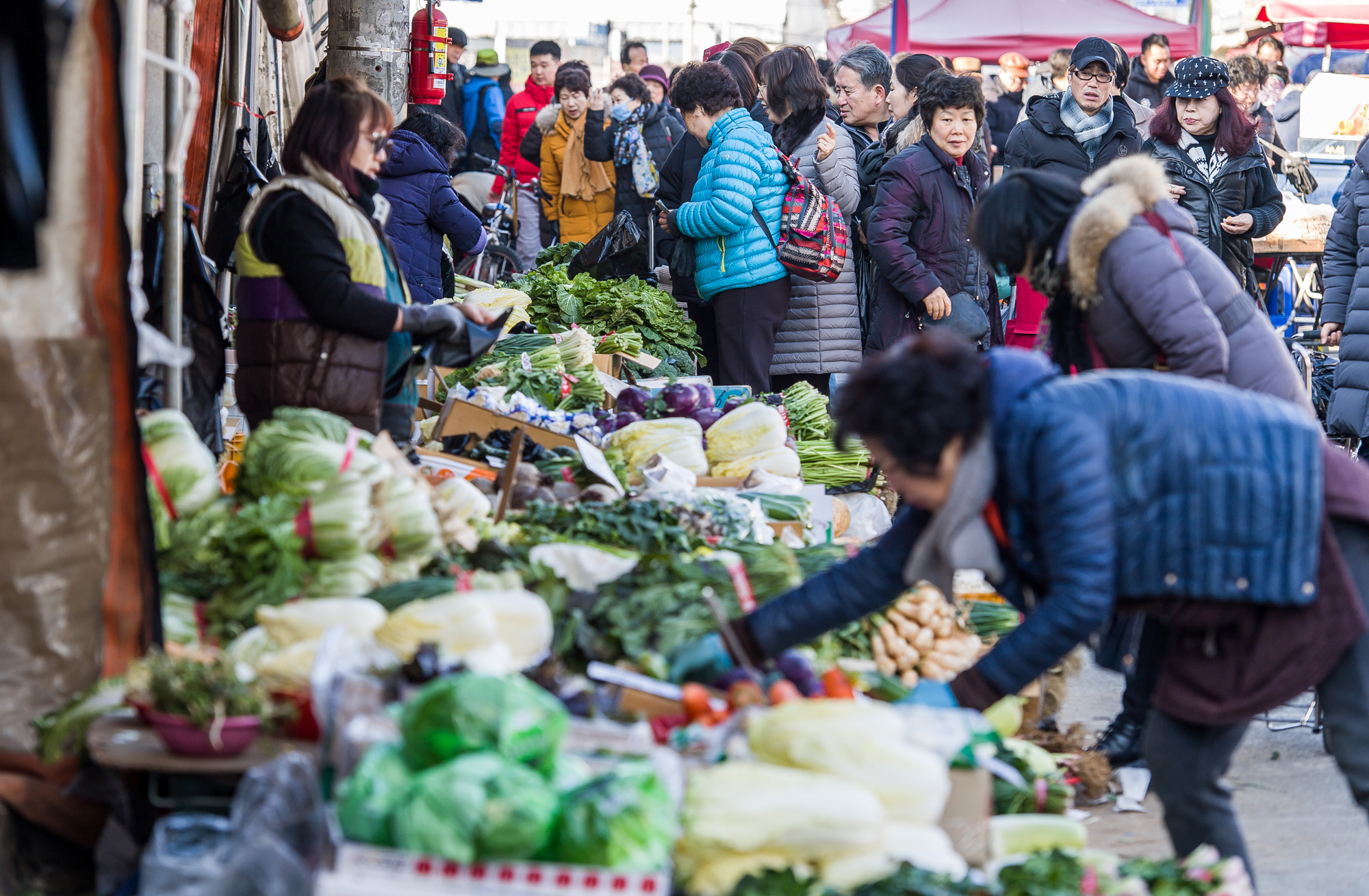 사회;세태;명절;설연휴;설날;전통시장;재래시장;장보기