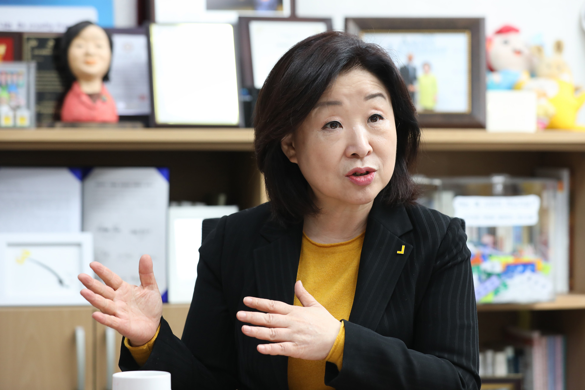 국회정치개혁특별위원회;심상정위원장;심상정정의당의원