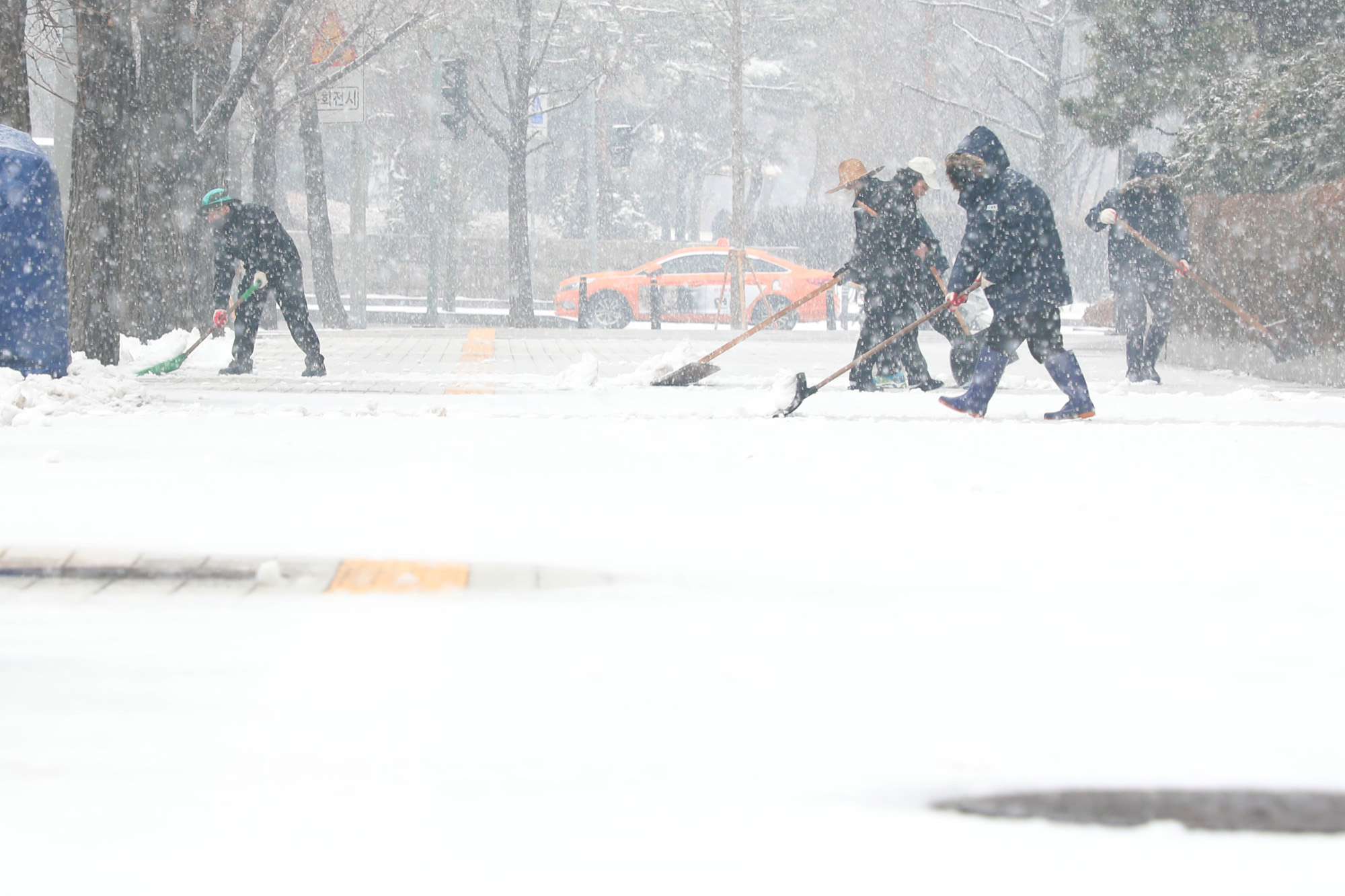 함박눈;눈내리는여의도공원