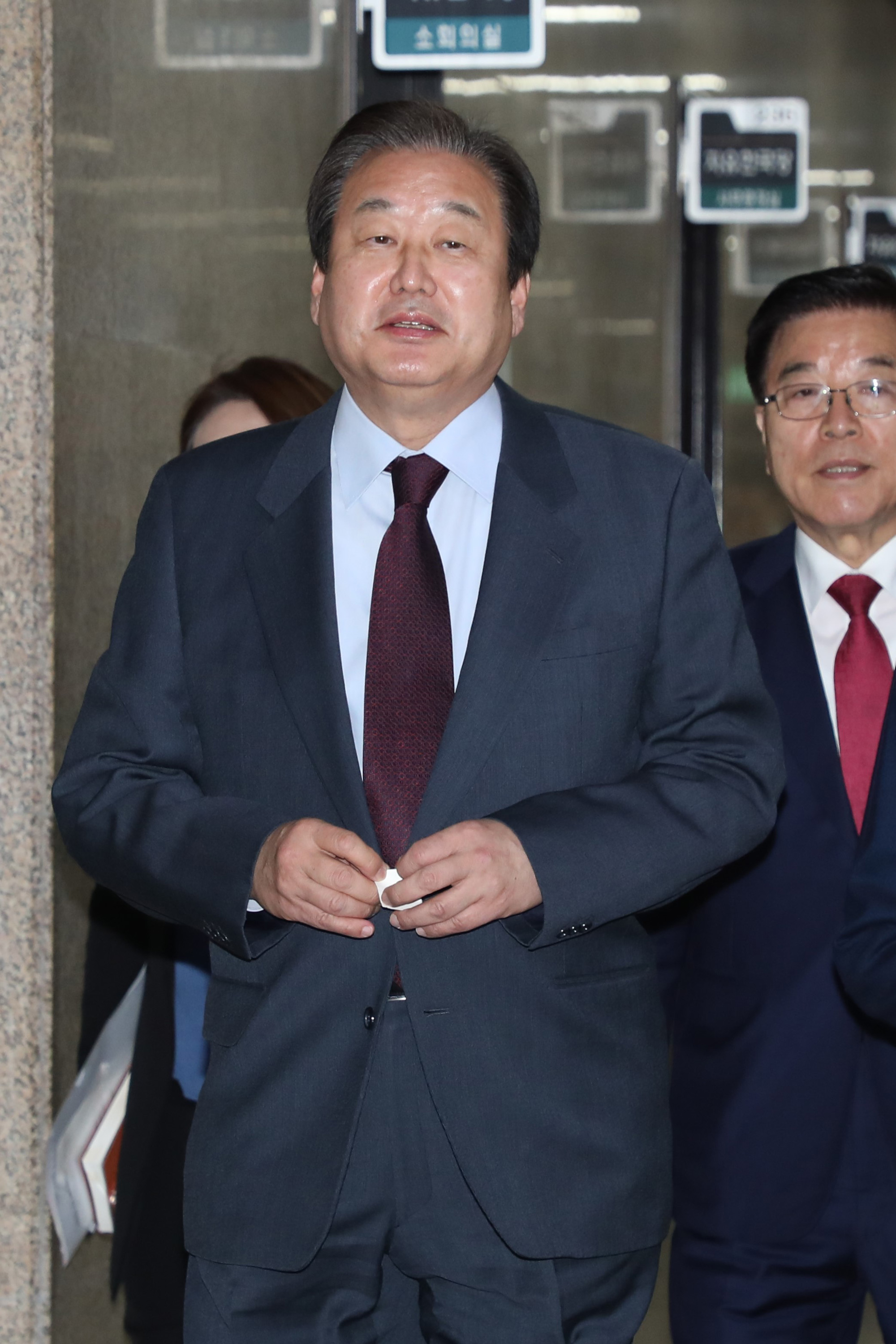 자유한국당북핵외교안보특위;김무성의원