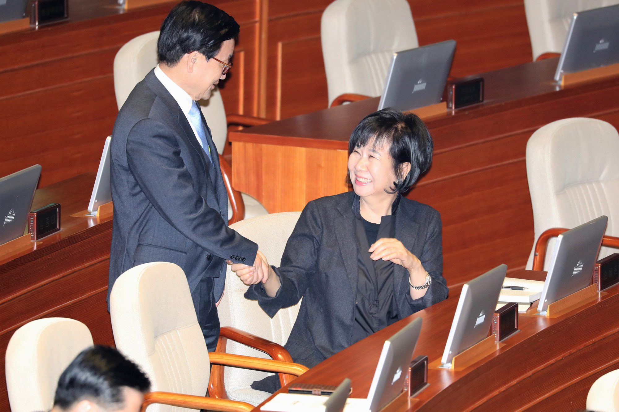 국회본회의;손혜원의원