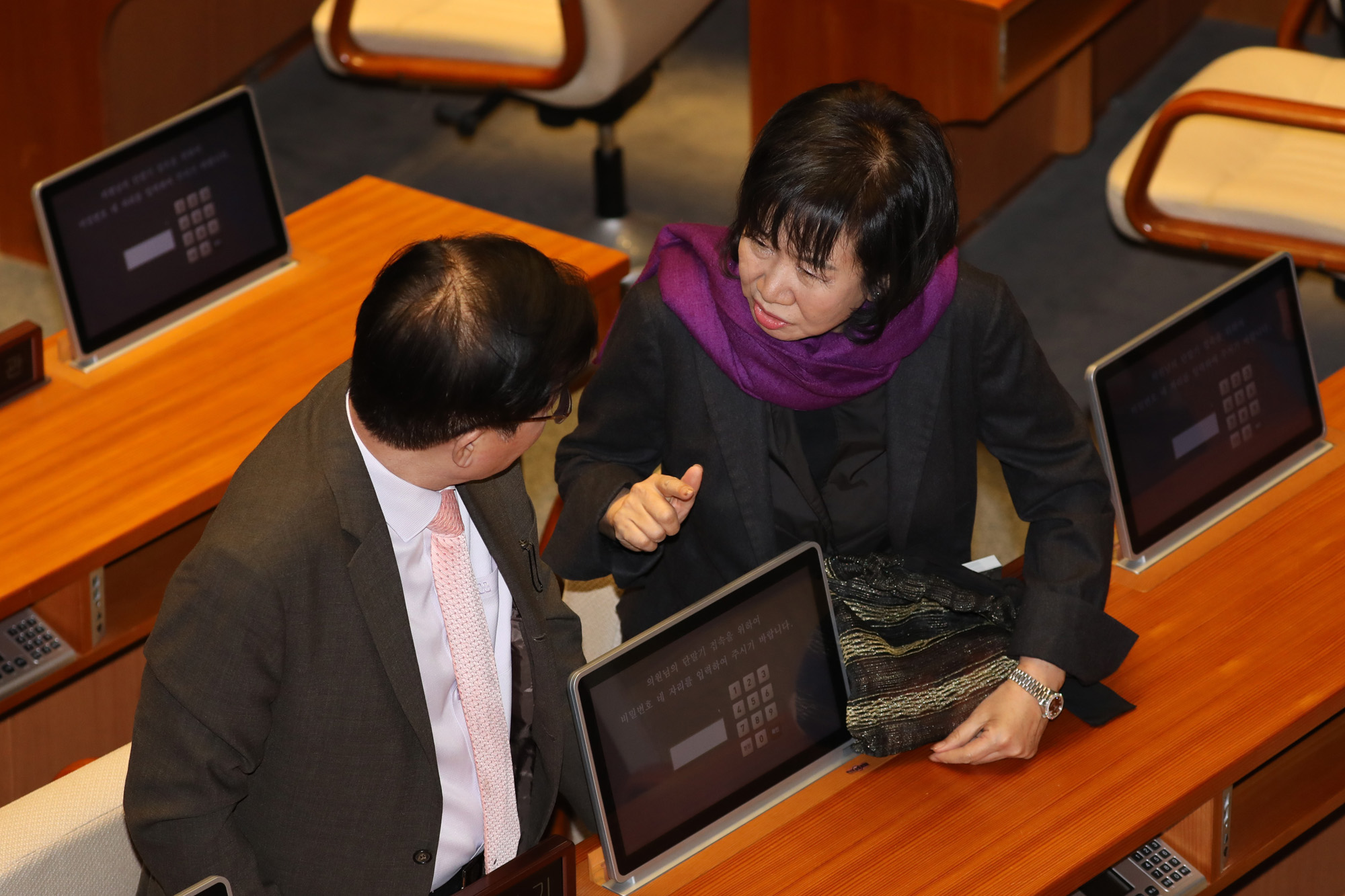 국회본회의;손혜원의원