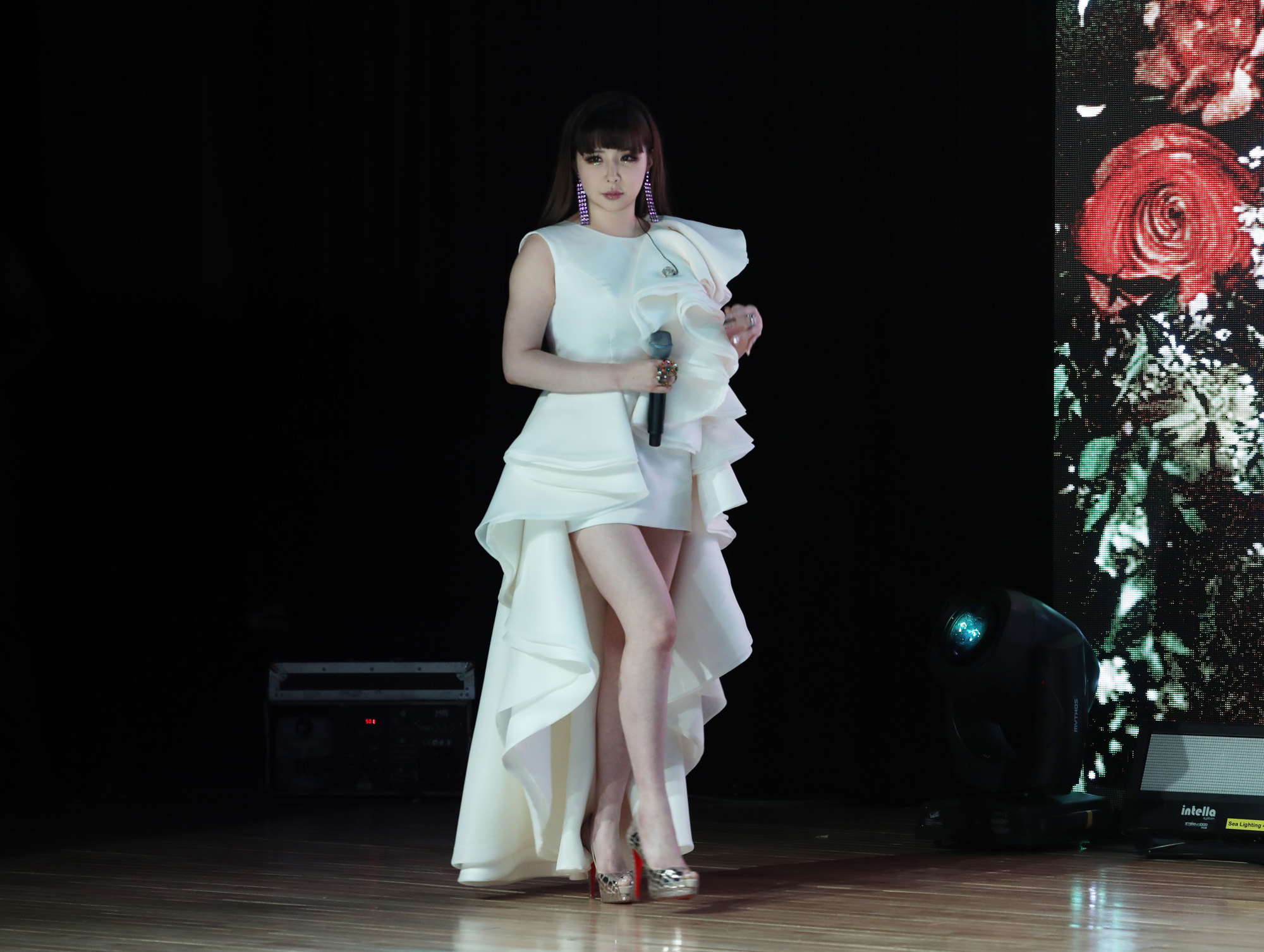 박봄;투애니원;2ne1;가수박봄