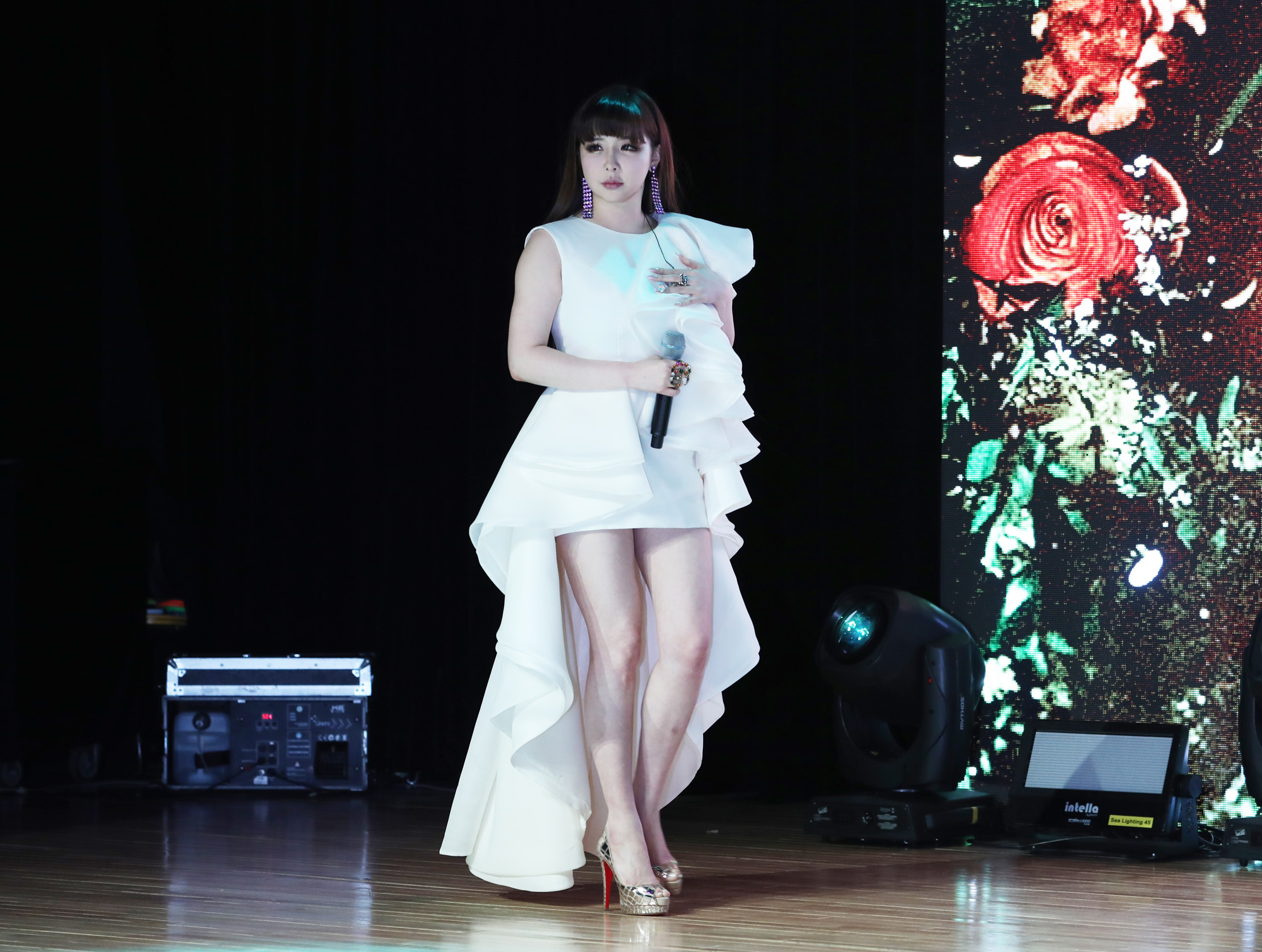 박봄;투애니원;2ne1;가수박봄