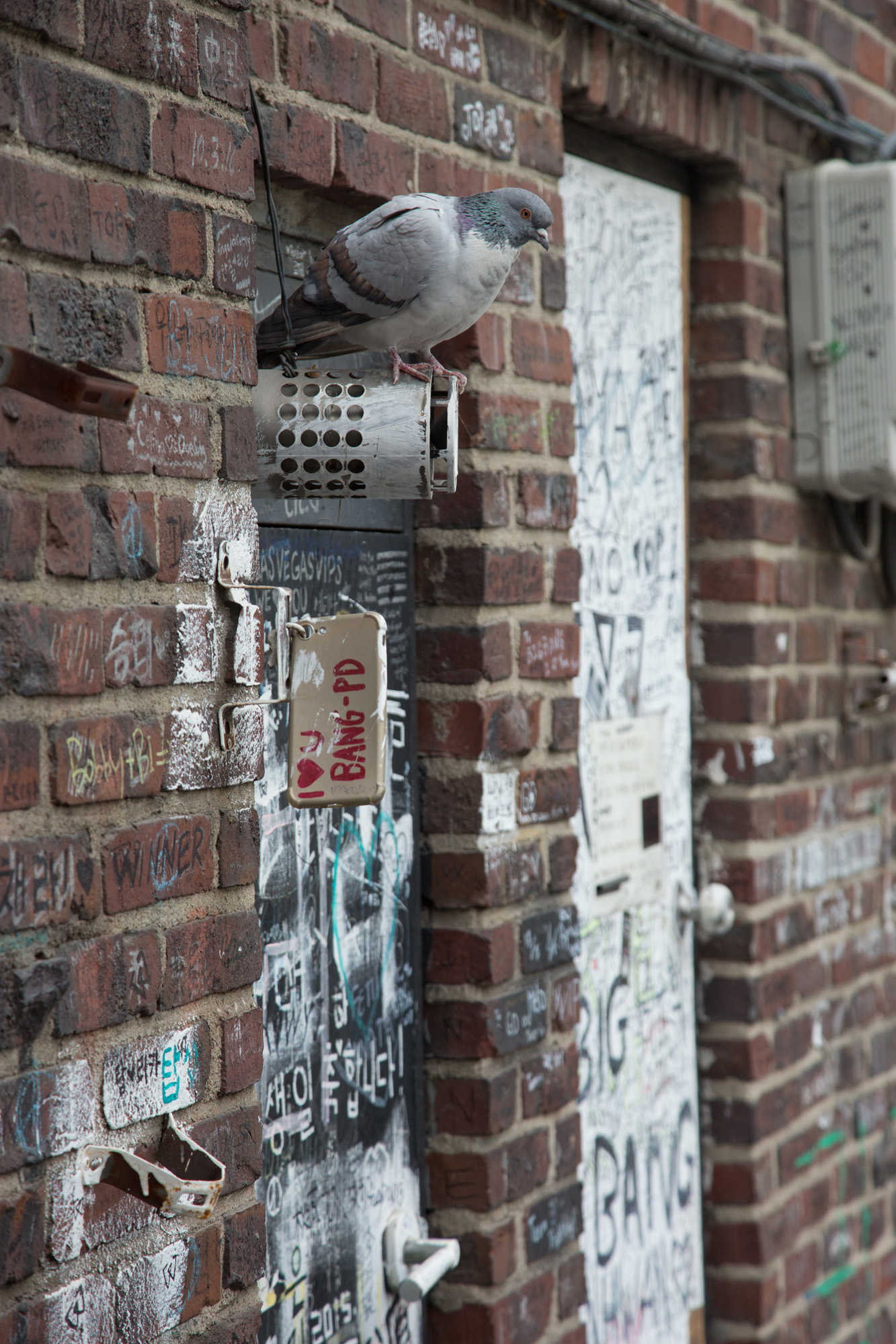 연예;방송;가수;YG엔터테인먼트;매니지먼트;사옥