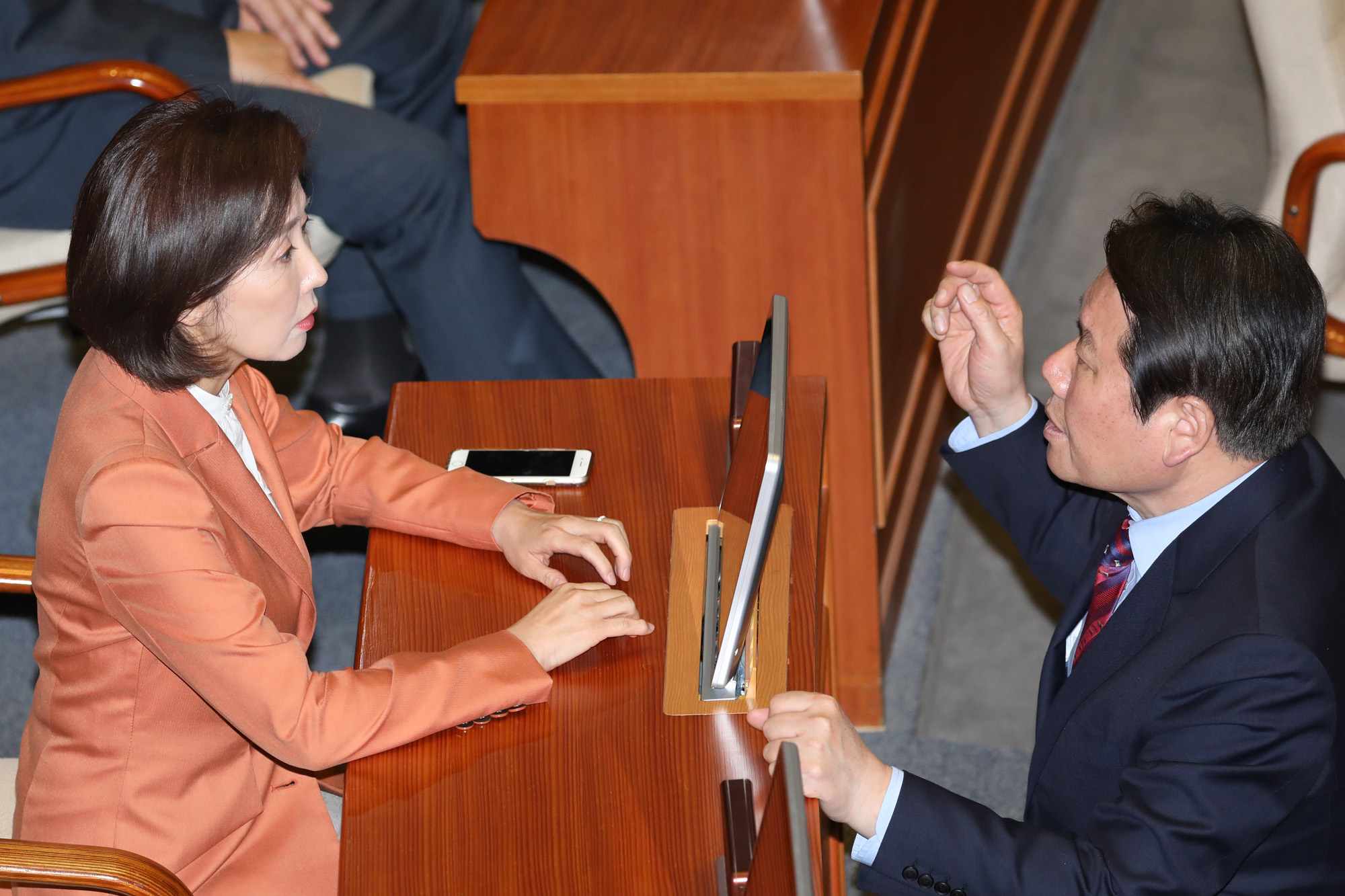 경제분야대정부질문;나경원원내대표