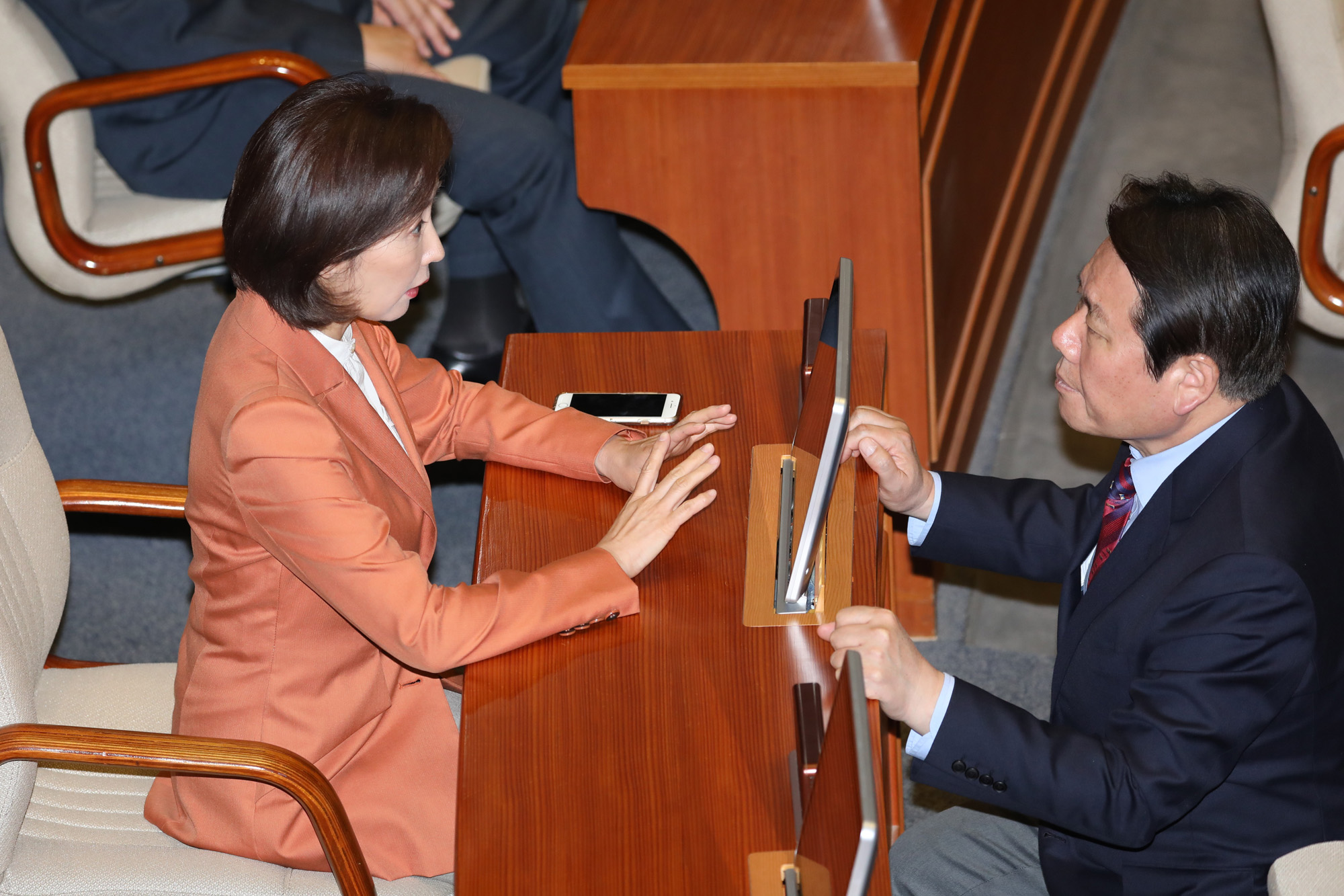 경제분야대정부질문;나경원원내대표