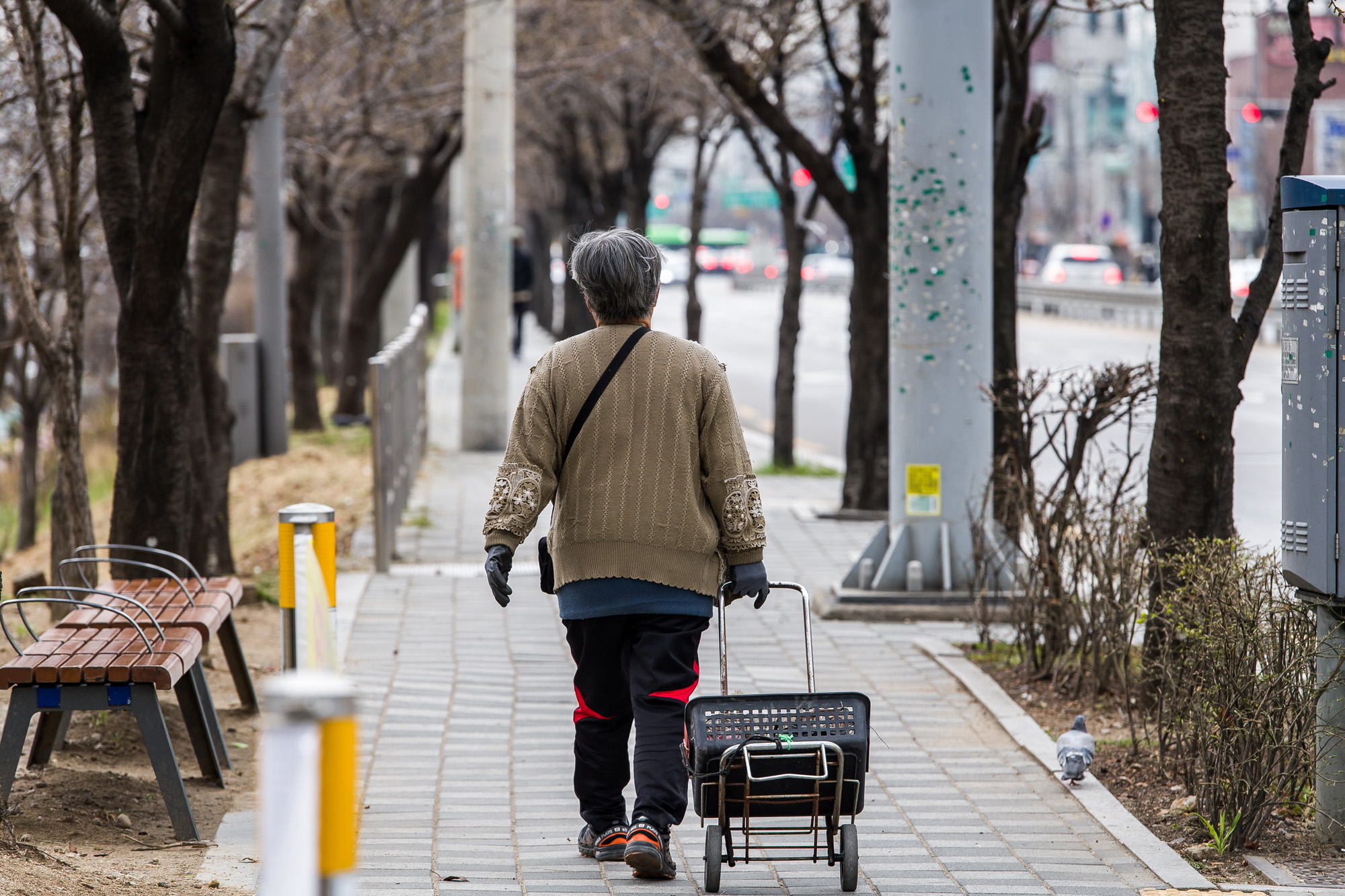 사회;환경;환경오염;미세먼지;초미세먼지;미세먼지노출;노인건강;호흡기건강