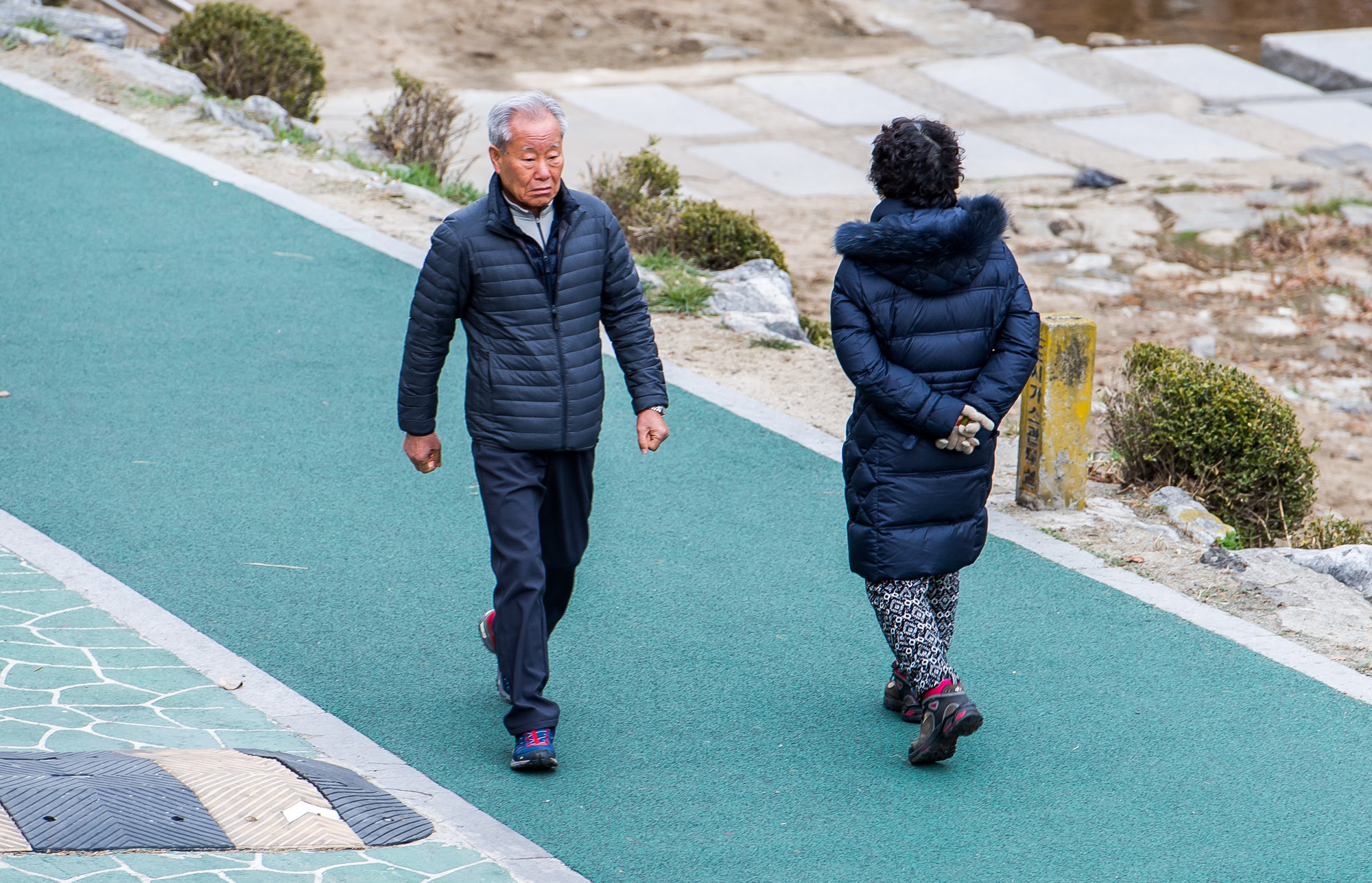 사회;환경;환경오염;미세먼지;초미세먼지;미세먼지노출;노인건강;호흡기건강