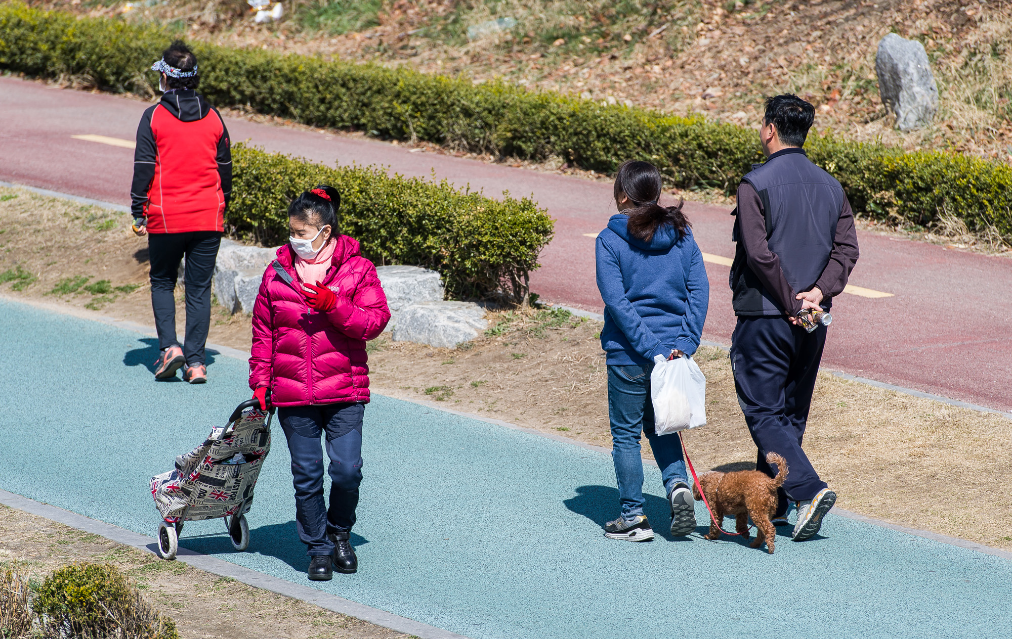 사회;환경;환경오염;미세먼지;초미세먼지;미세먼지노출;반려동물건강;호흡기건강;반려동물미세먼지노출