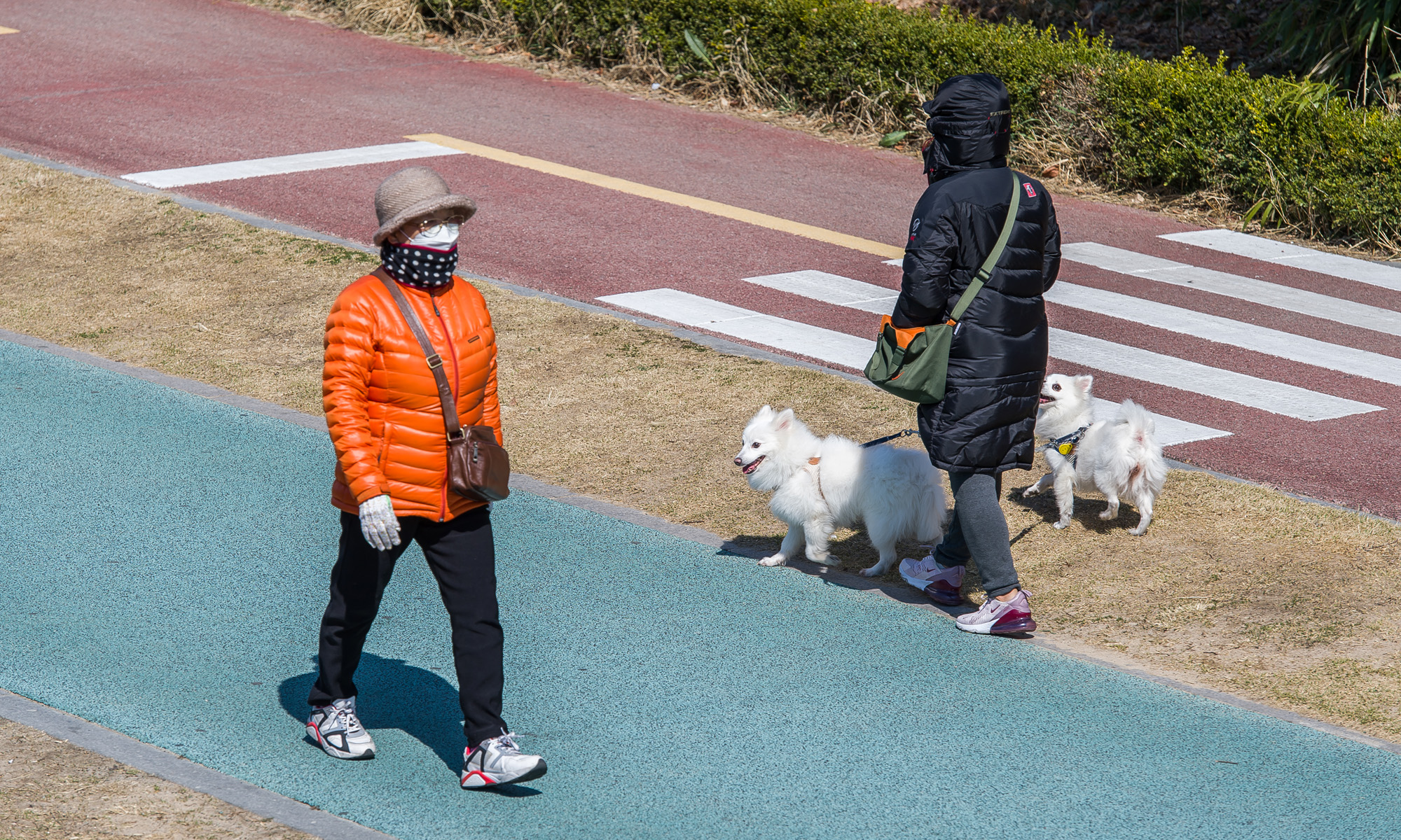 사회;환경;환경오염;미세먼지;초미세먼지;미세먼지노출;반려동물건강;호흡기건강;반려동물미세먼지노출